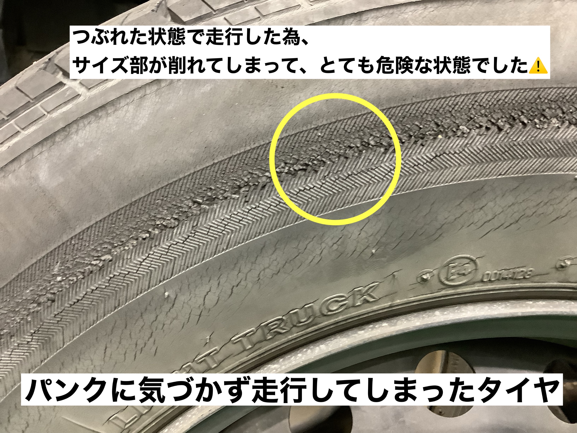 スタッフが撮影