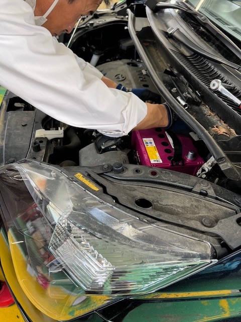 スタッフ撮影です。