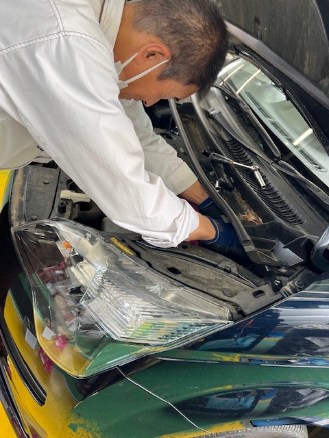 スタッフ撮影です。