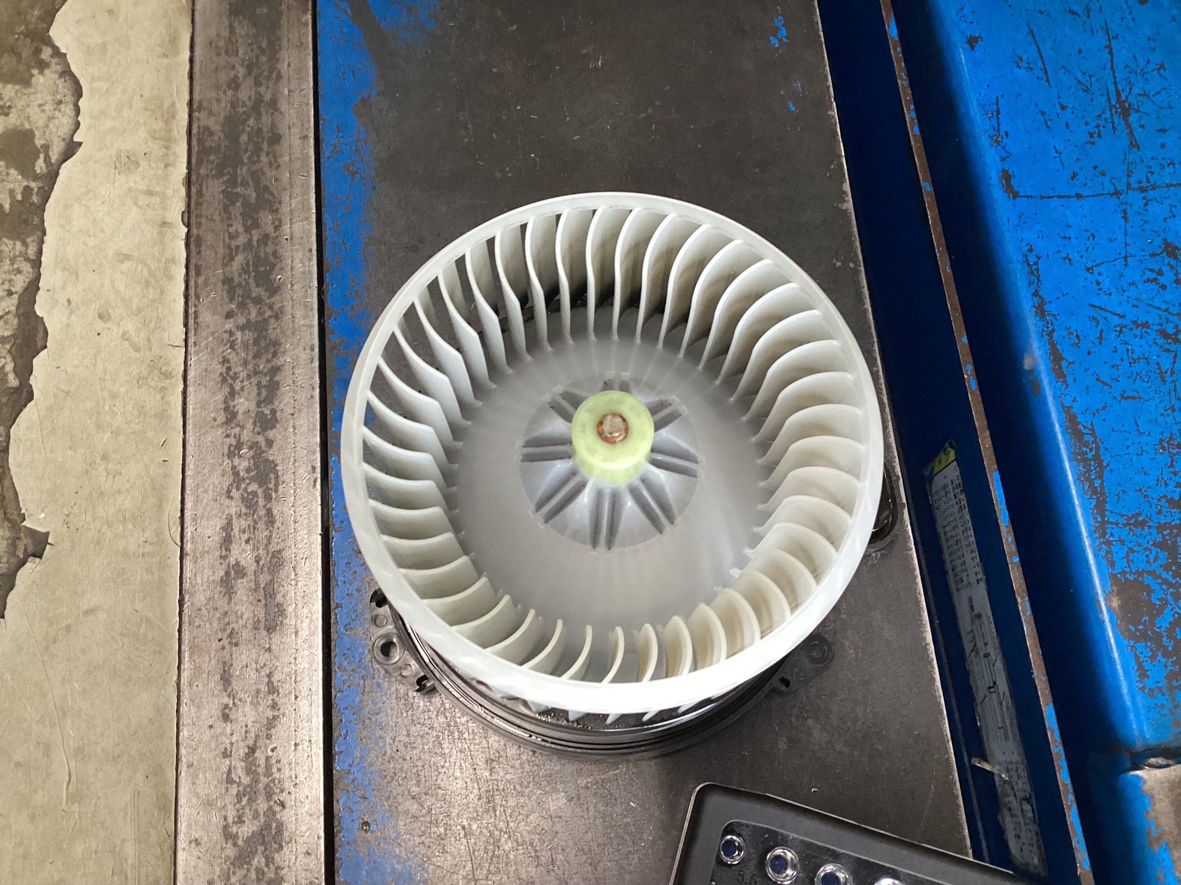 ダイハツ】ミライース エバポレーター洗浄 | 店舗おススメ情報