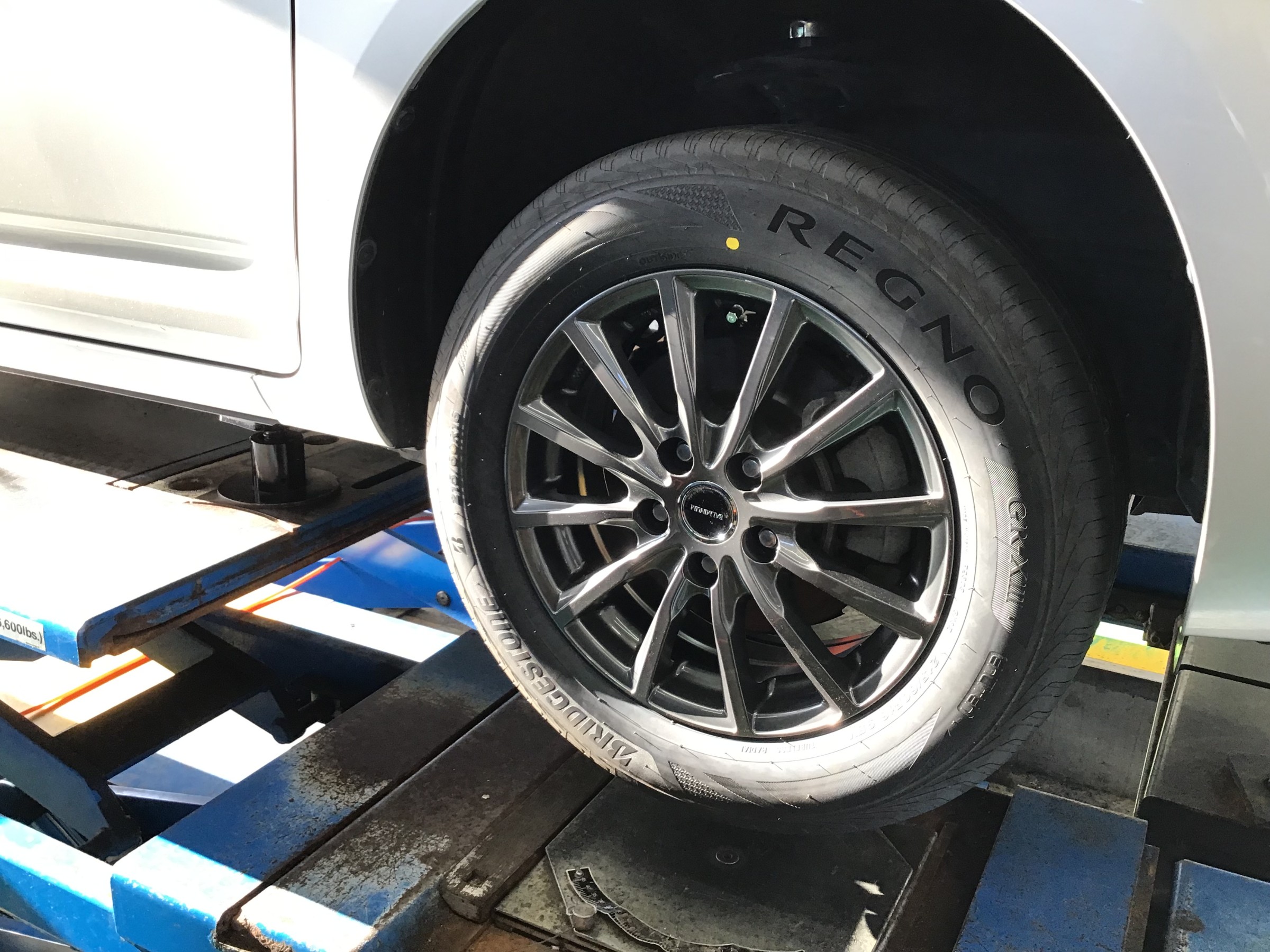 スタッフ撮影です。