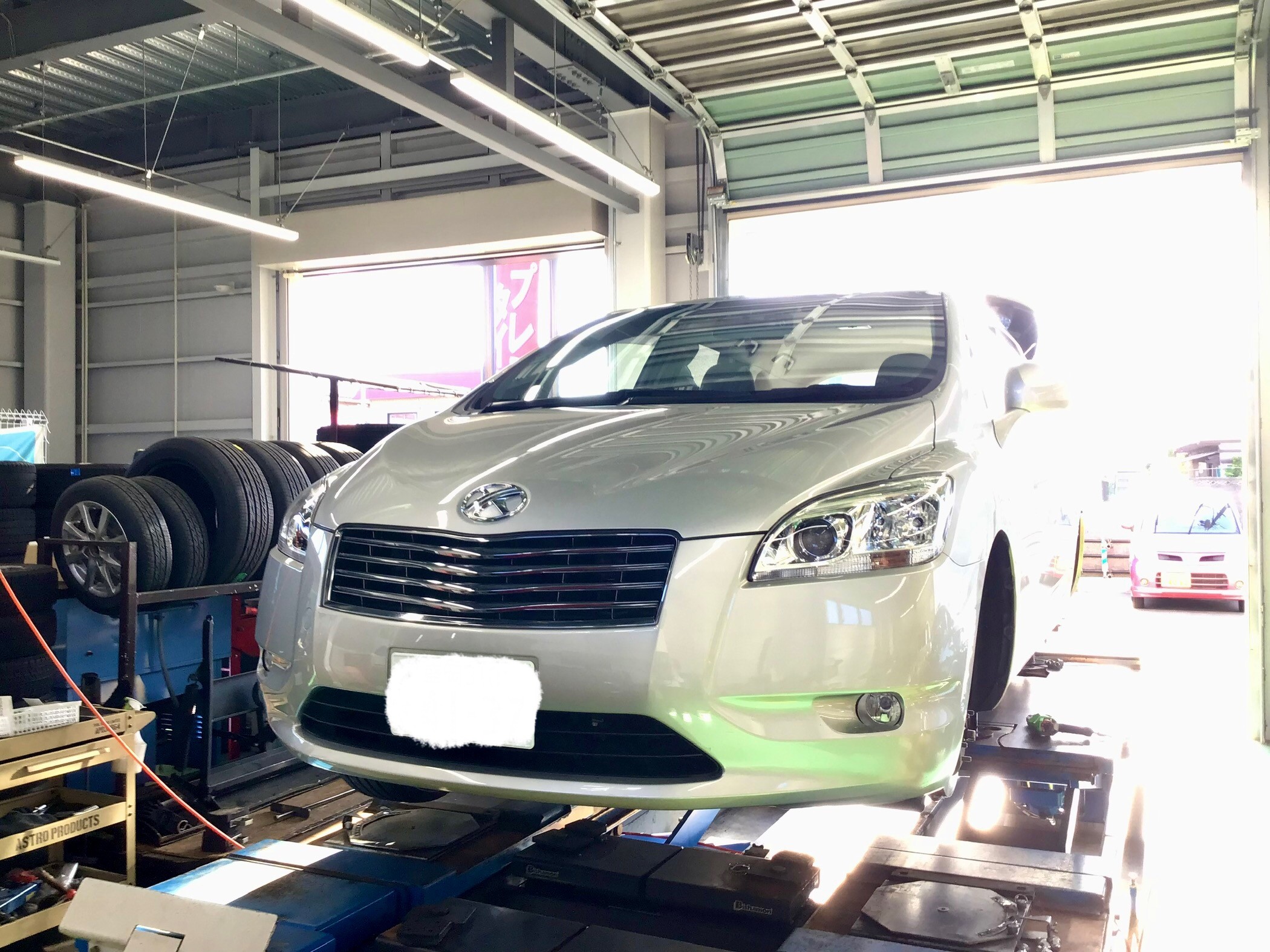 スタッフ撮影です。