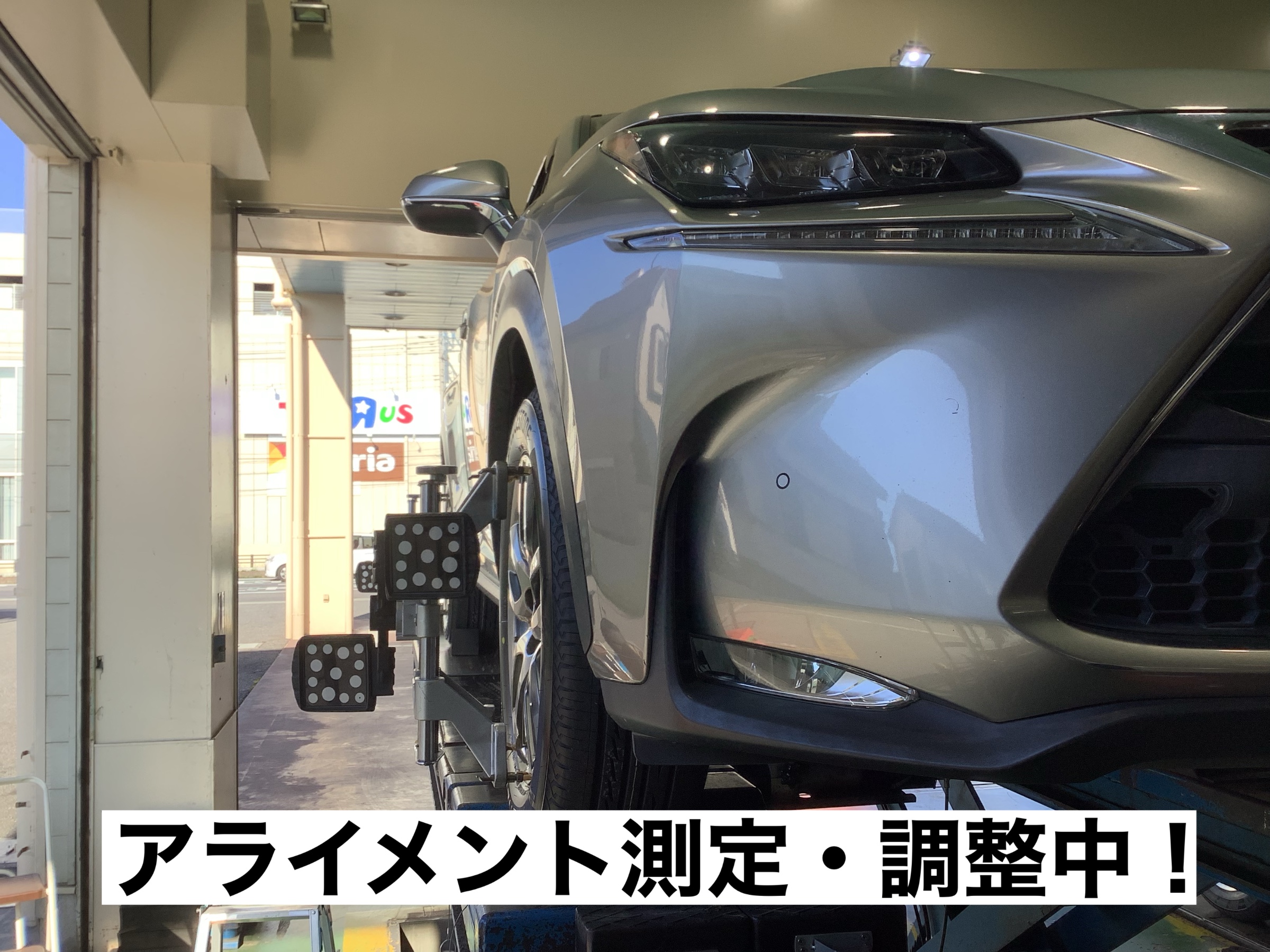 スタッフが撮影