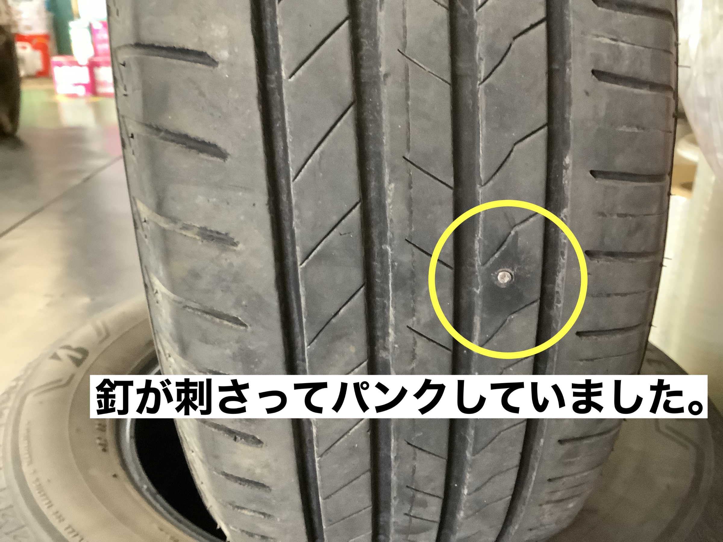 スタッフが撮影