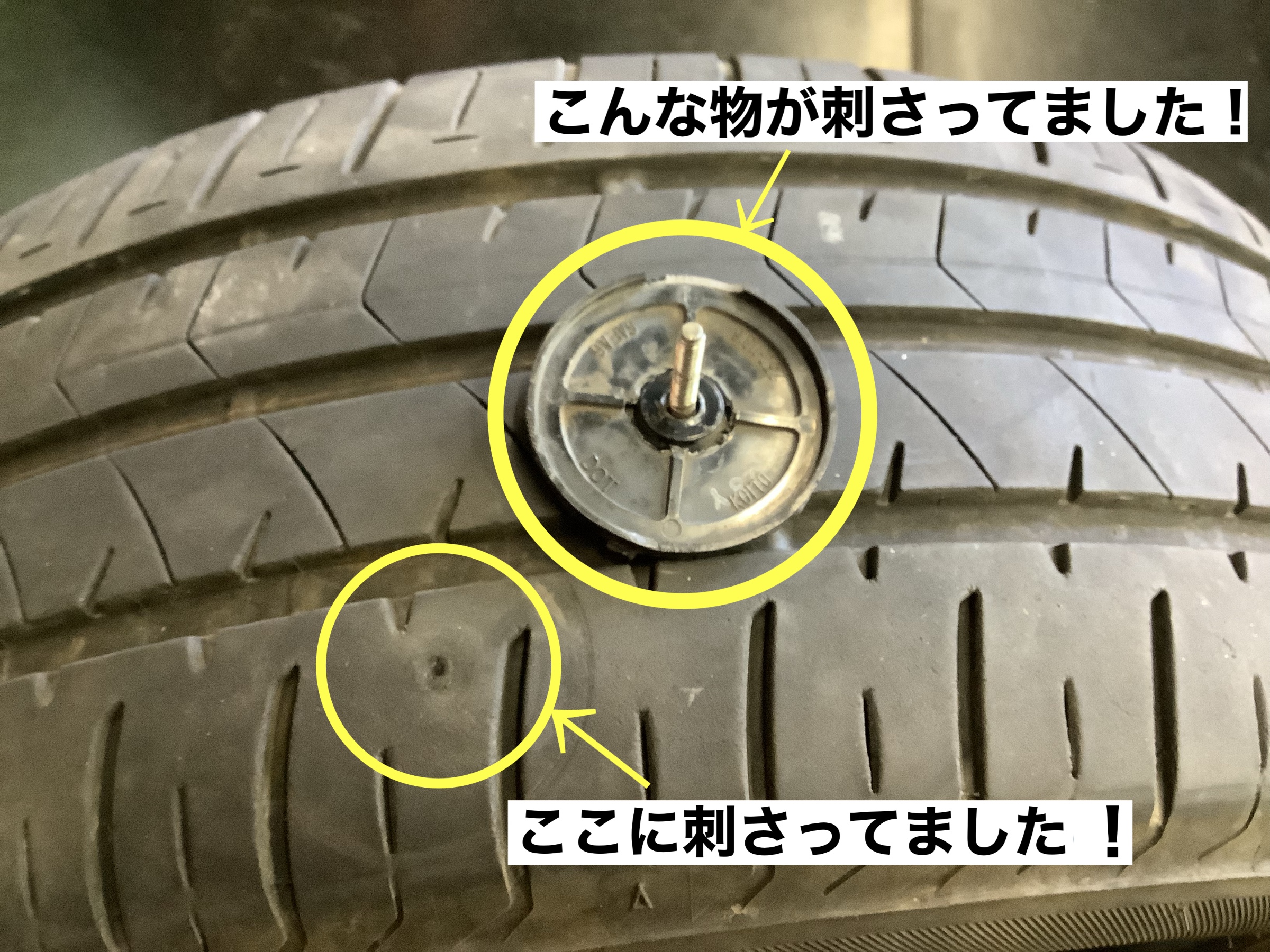 スタッフが撮影