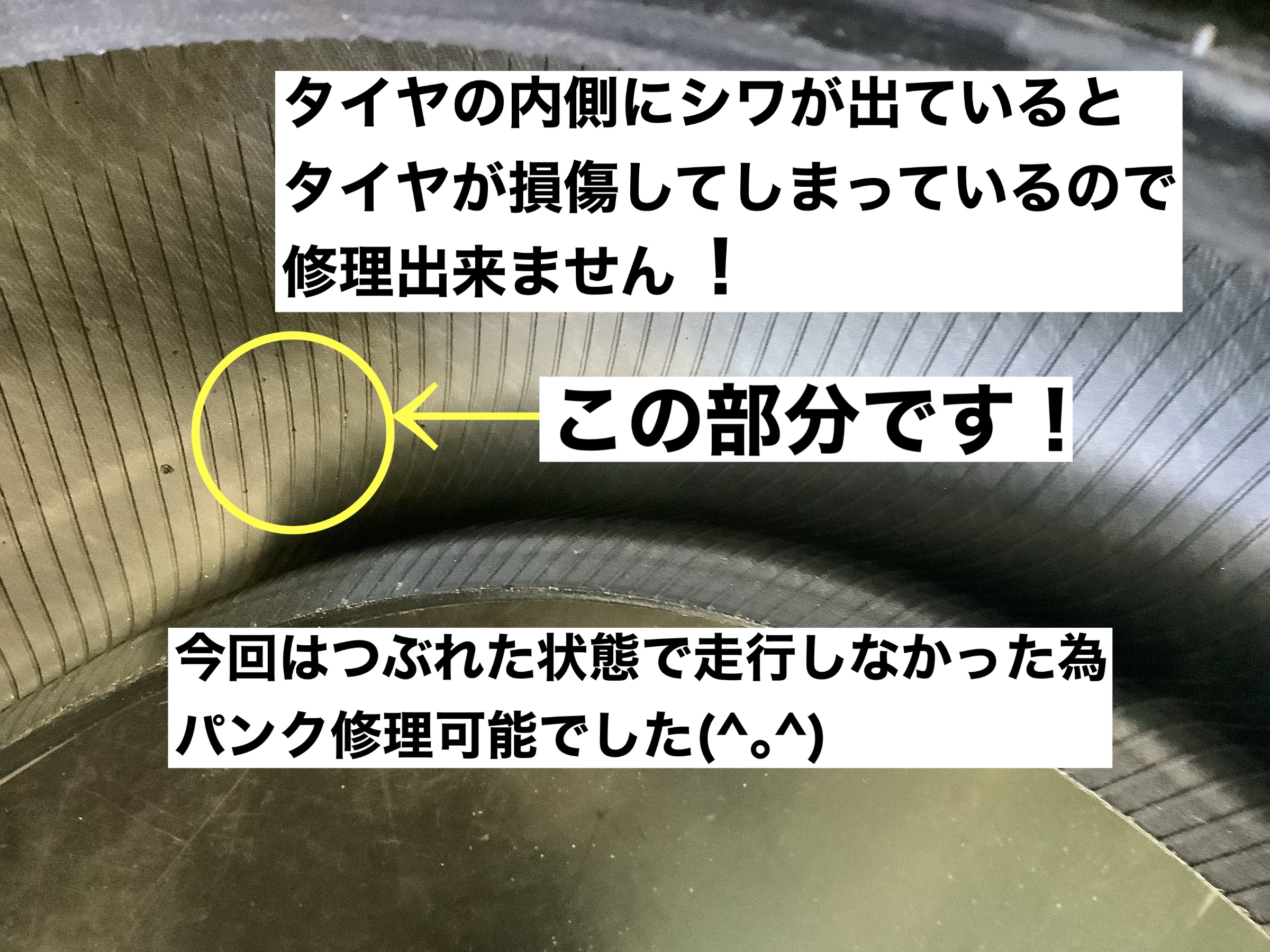 スタッフが撮影