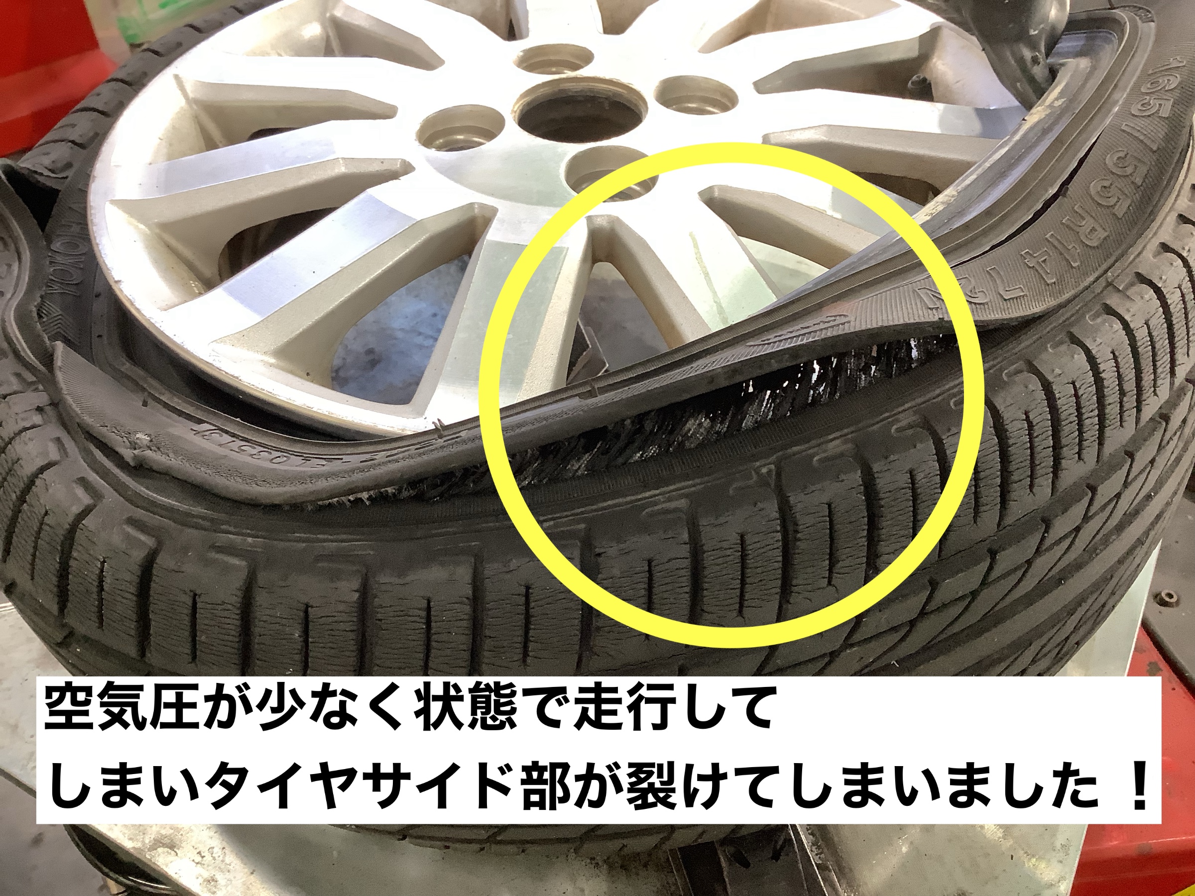 スタッフが撮影