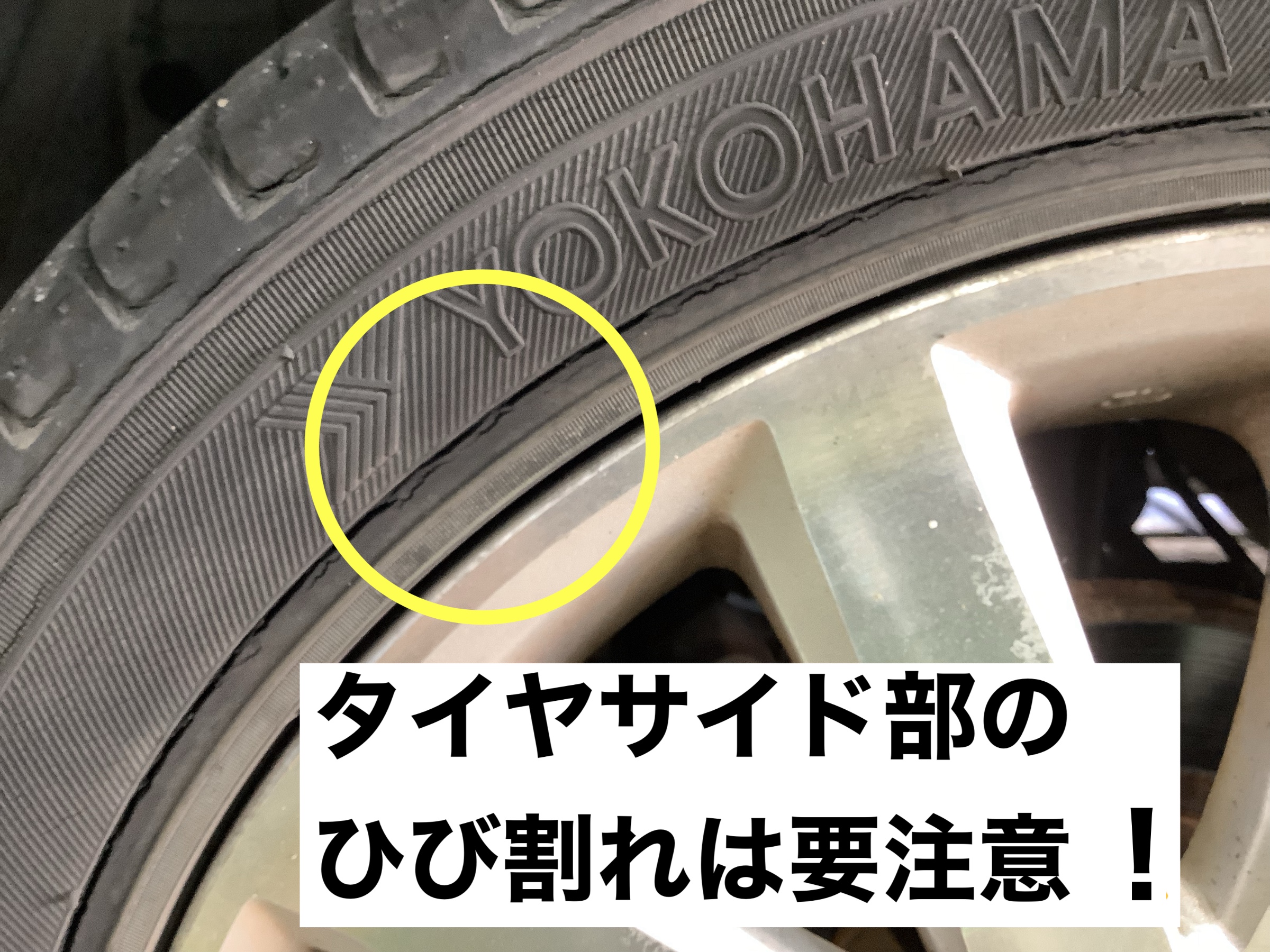 スタッフが撮影