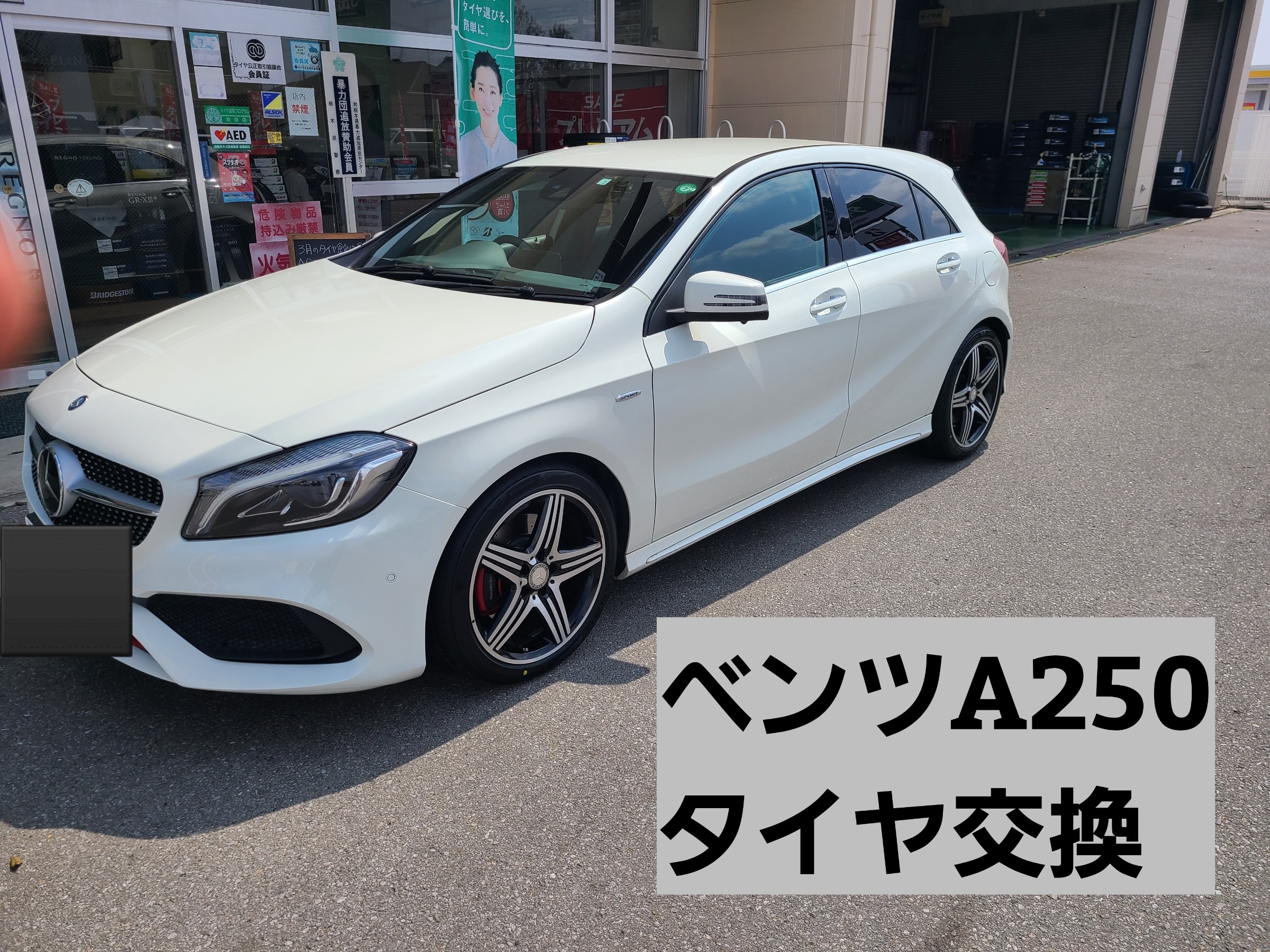 スタッフが撮影しました。