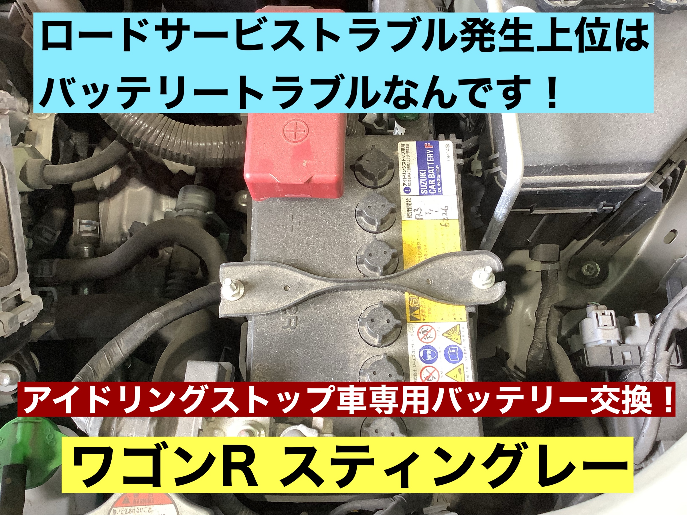 スタッフが撮影