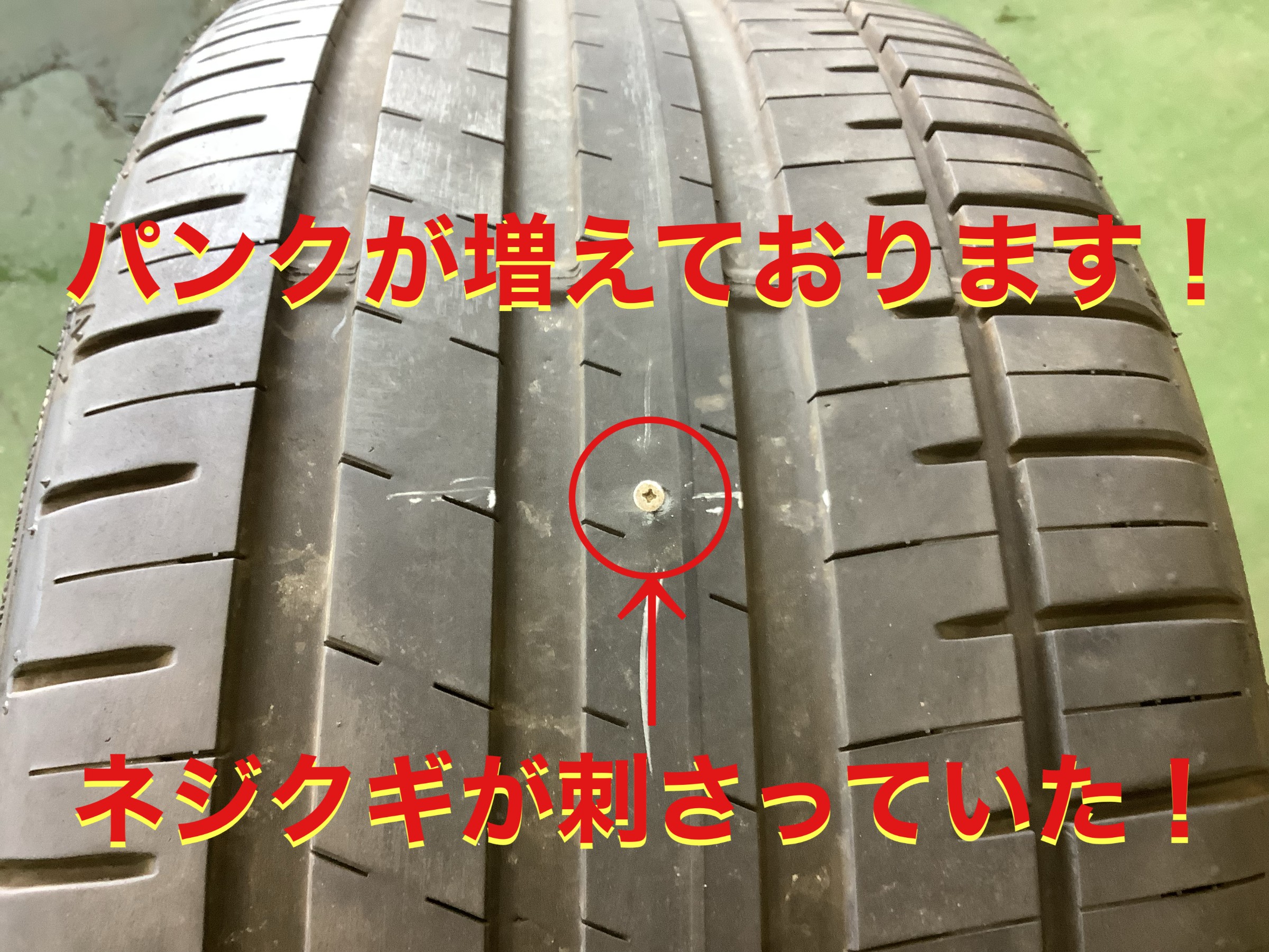 自店撮影