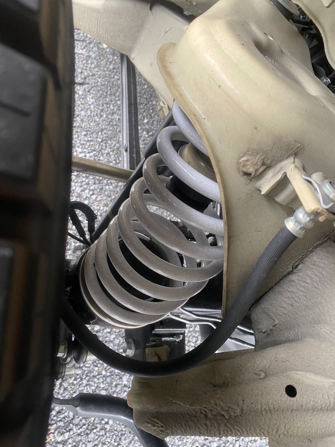 自分が撮影してます