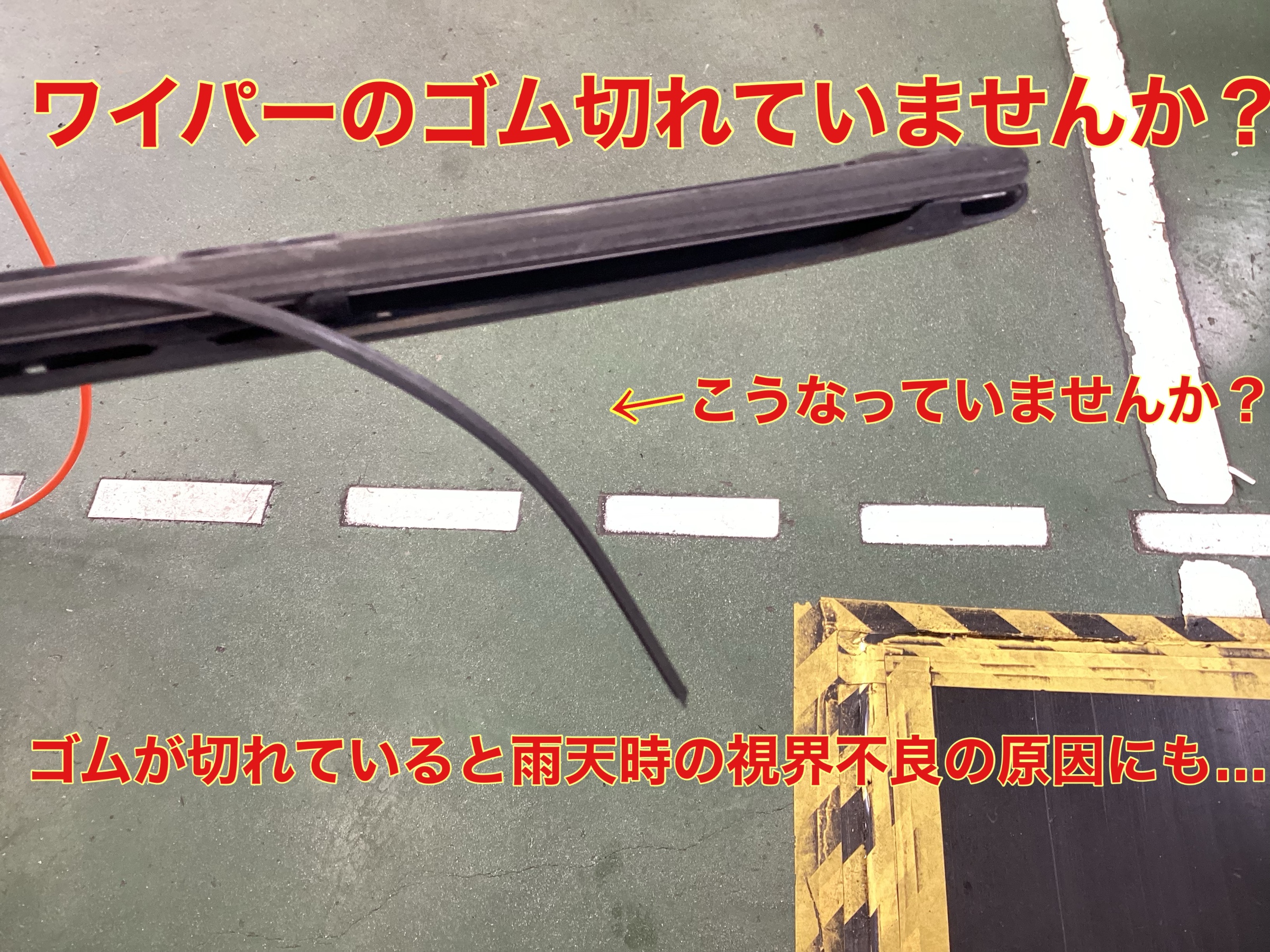 スタッフ撮影。無料画像編集アプリにて編集