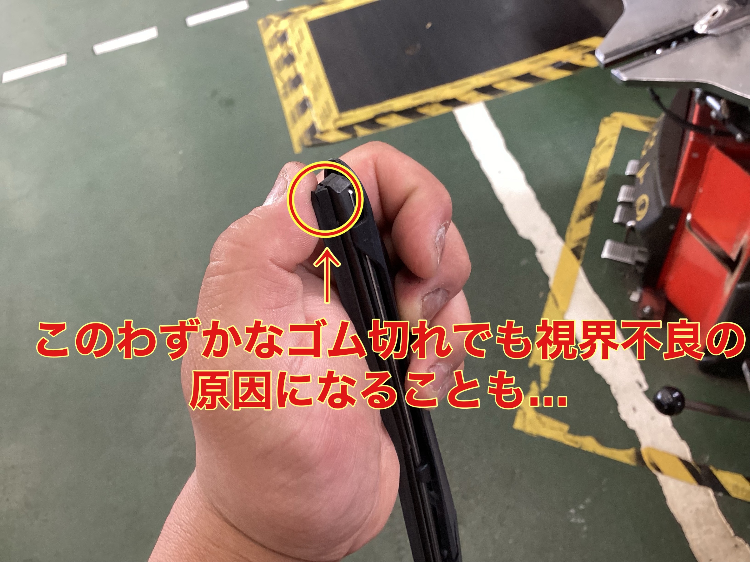 スタッフ撮影。無料画像編集アプリにて編集