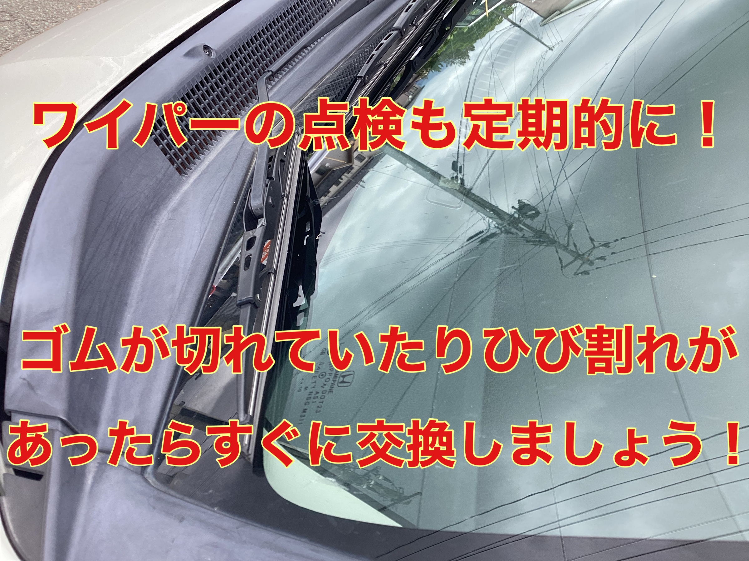 スタッフ撮影。無料画像編集アプリにて編集