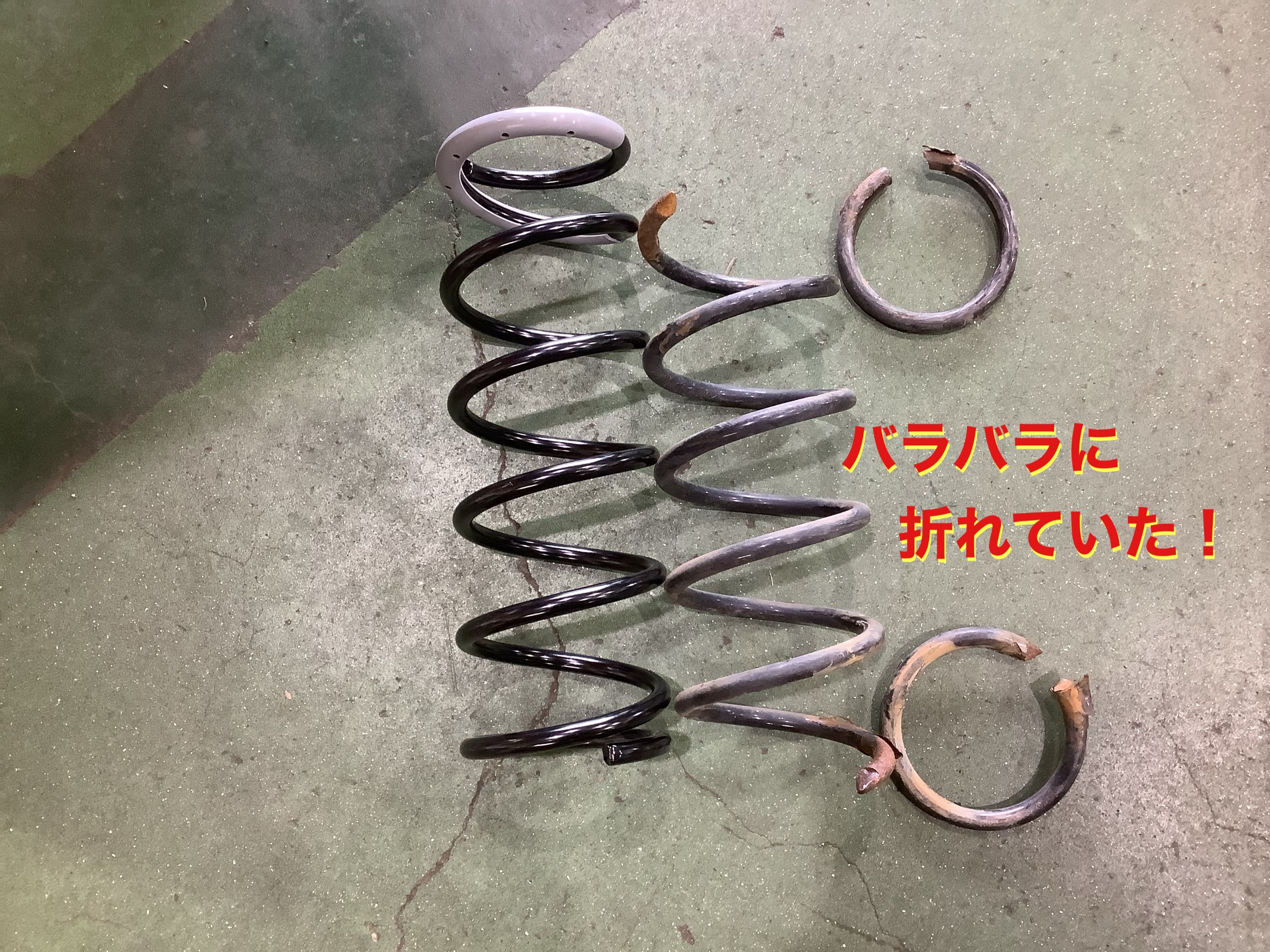 自店撮影です