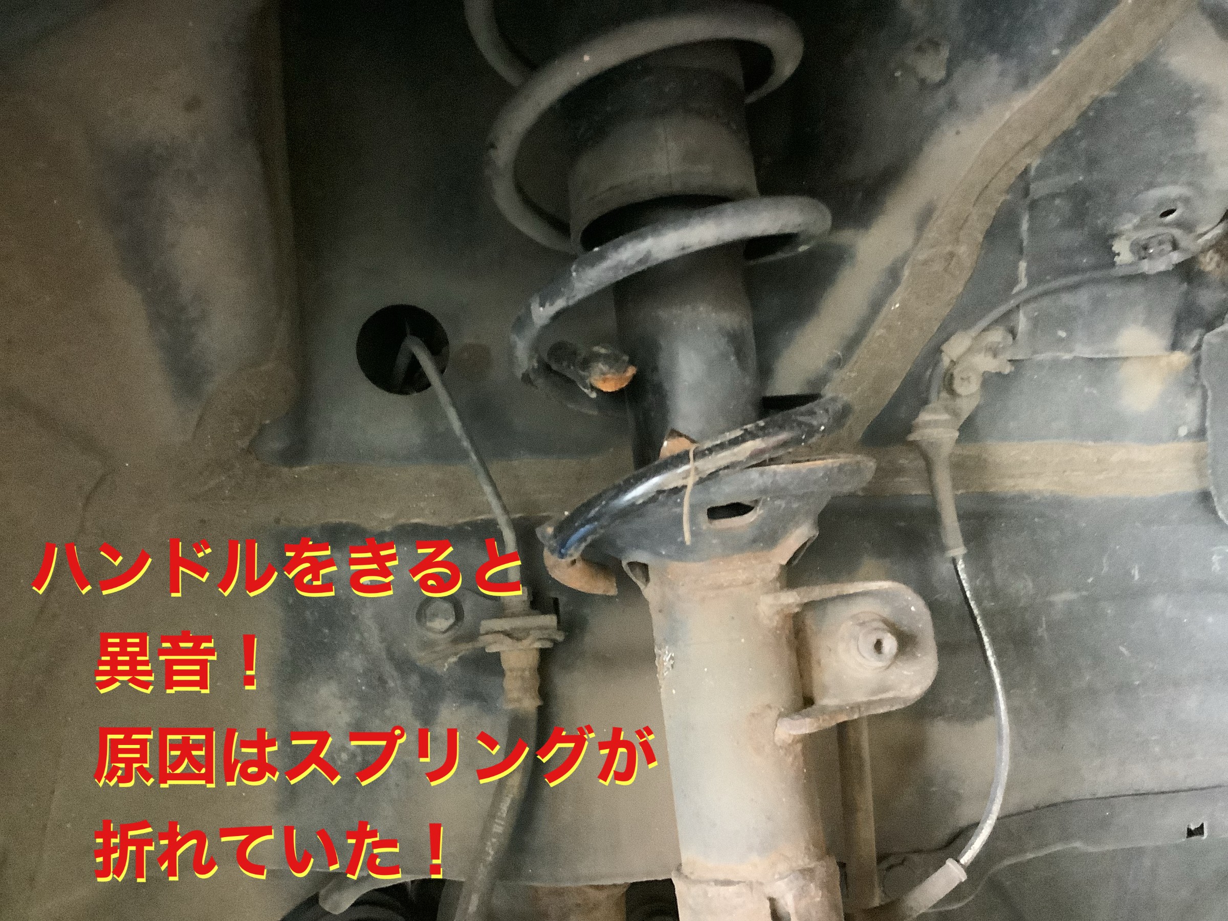 自店撮影です