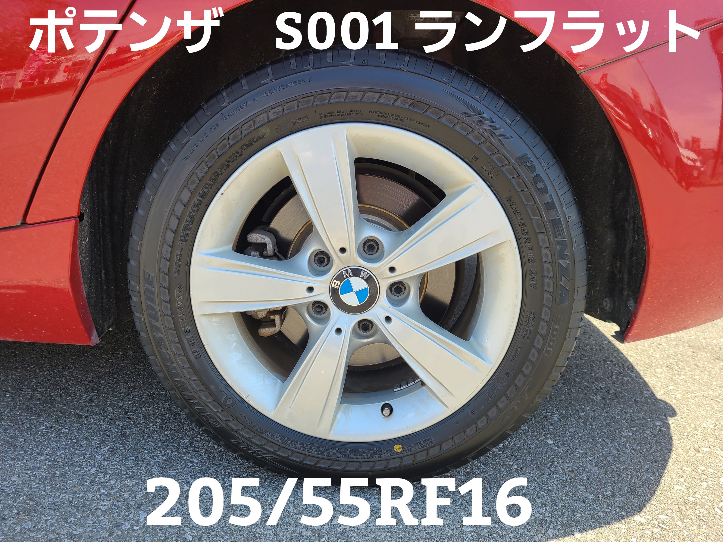 スタッフが撮影しました。