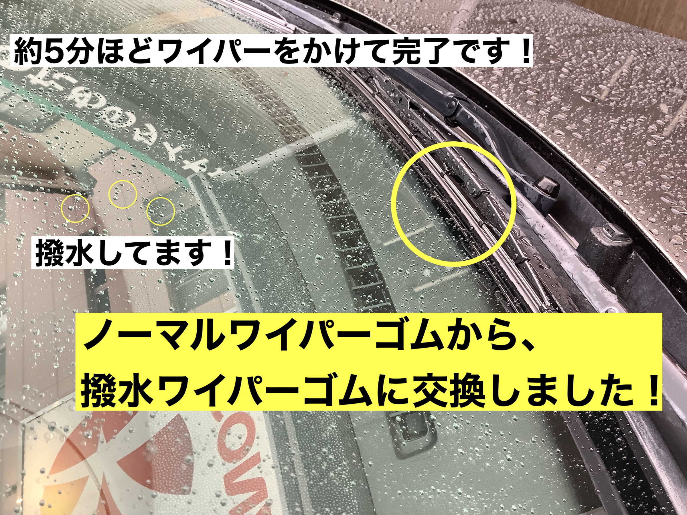 スタッフが撮影