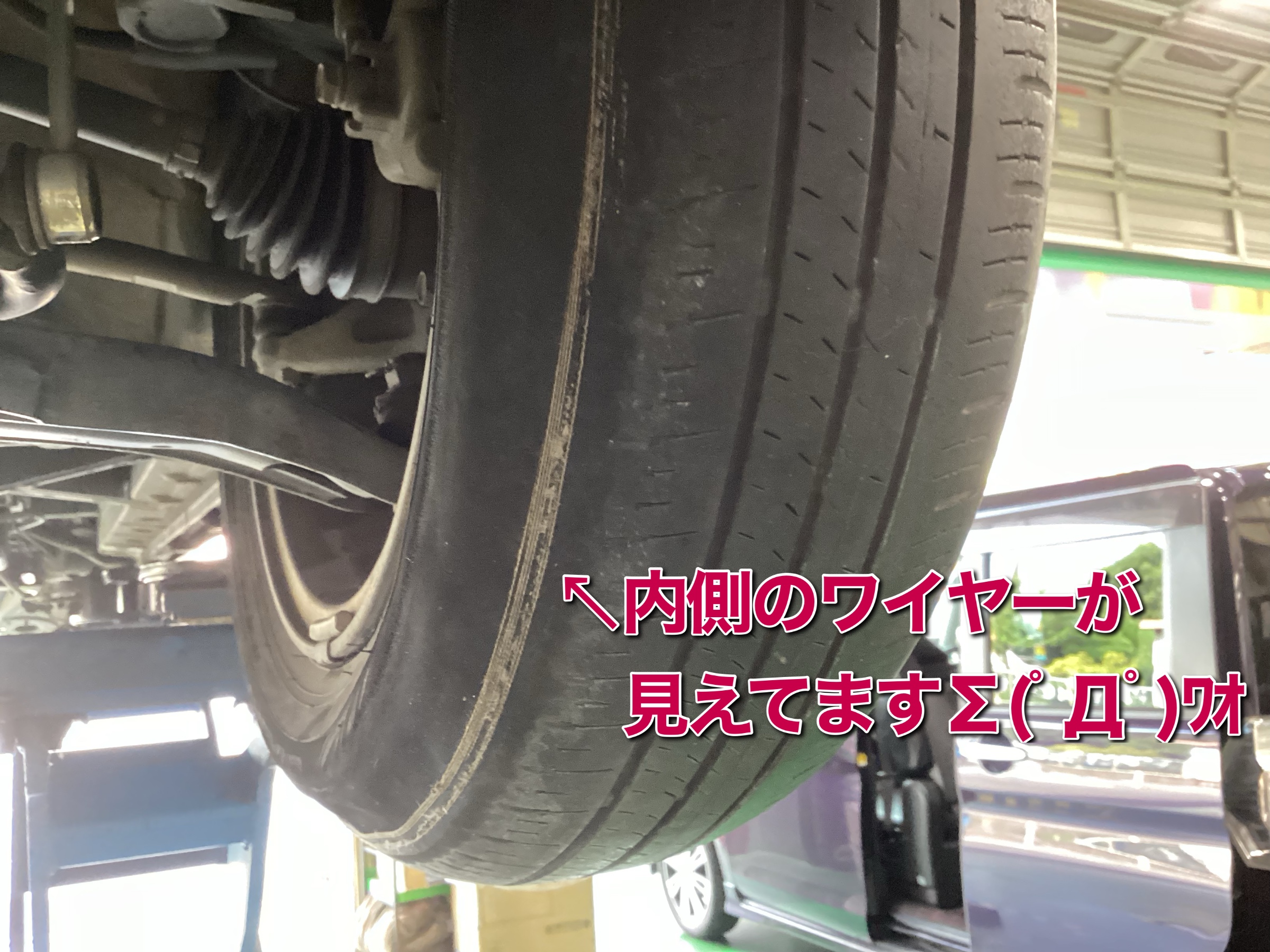 スタッフ撮影分です