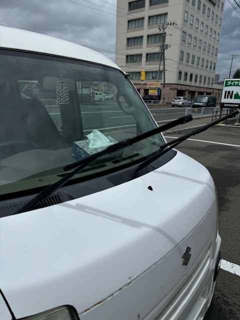 スタッフ撮影です。