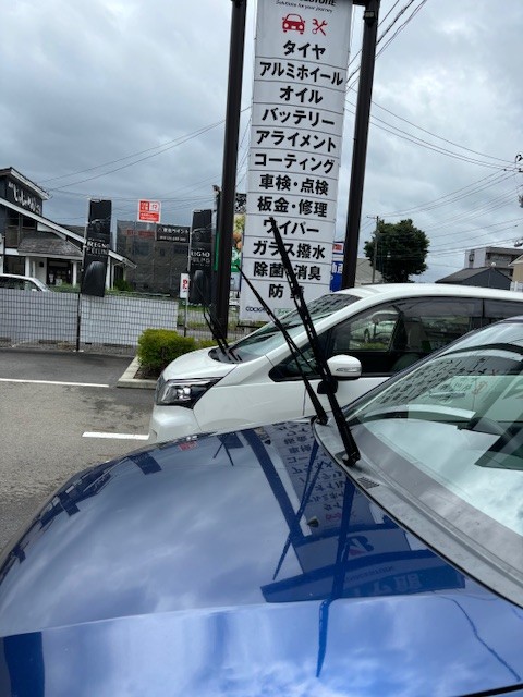 スタッフ撮影です。