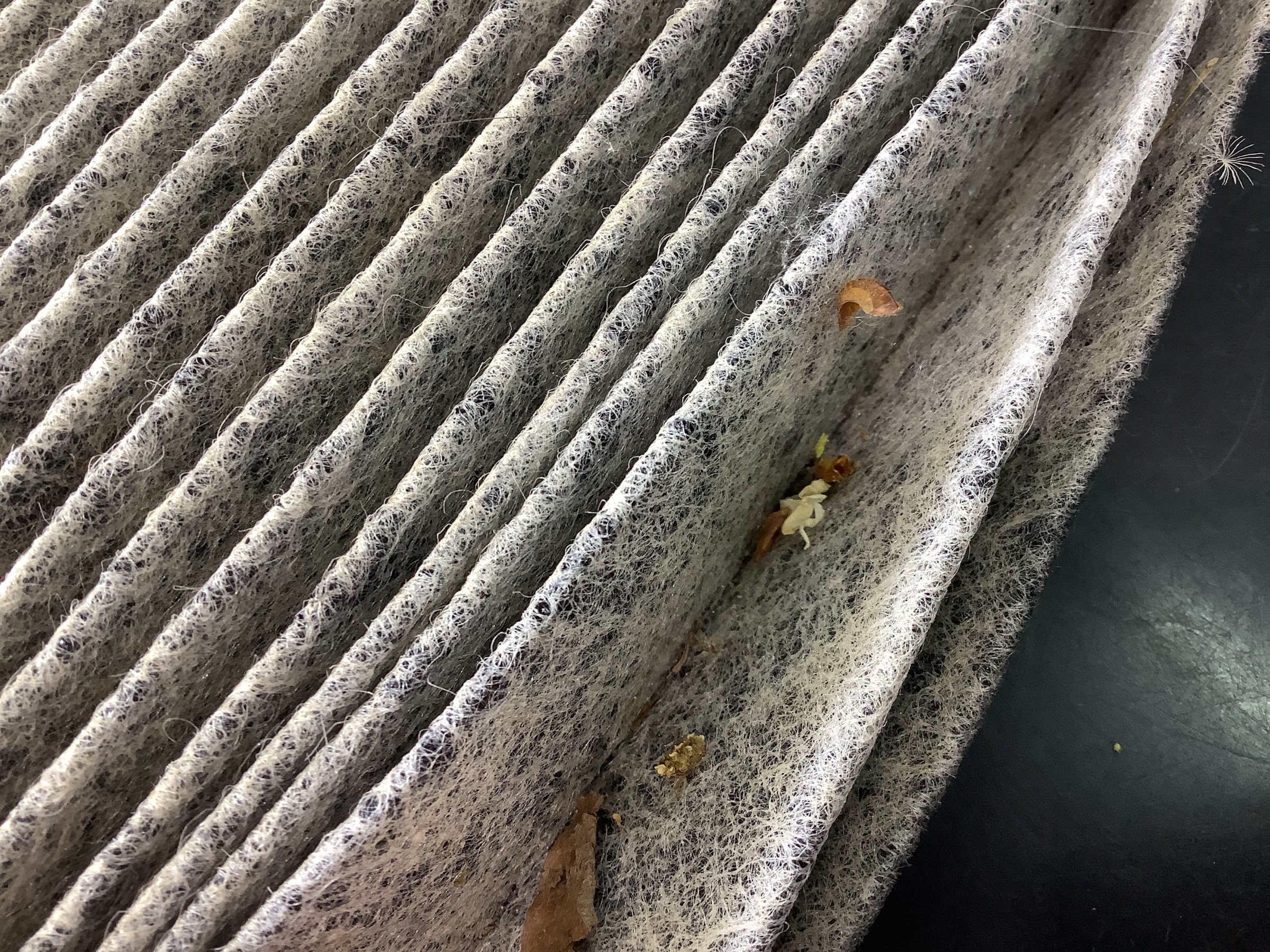 タイヤ館白石中央　エアコンフィルター