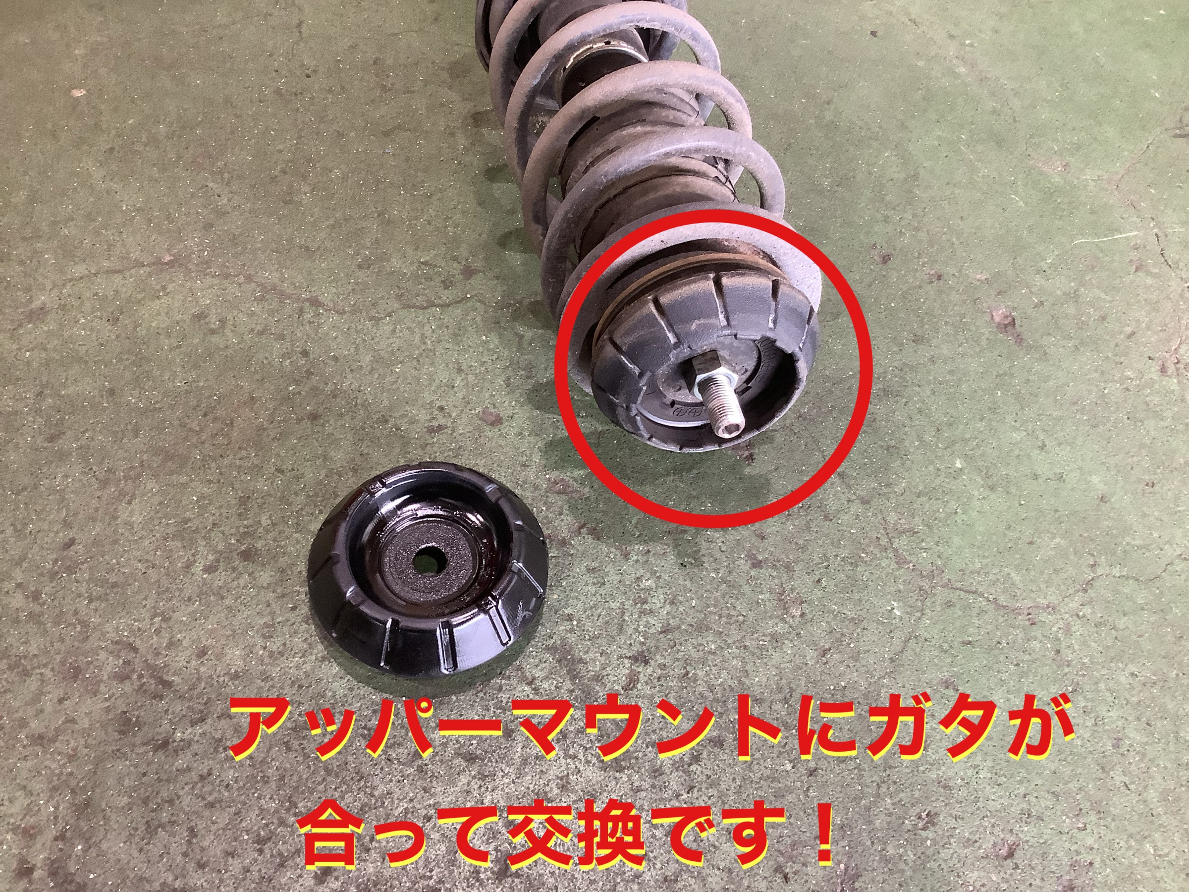 自店撮影です