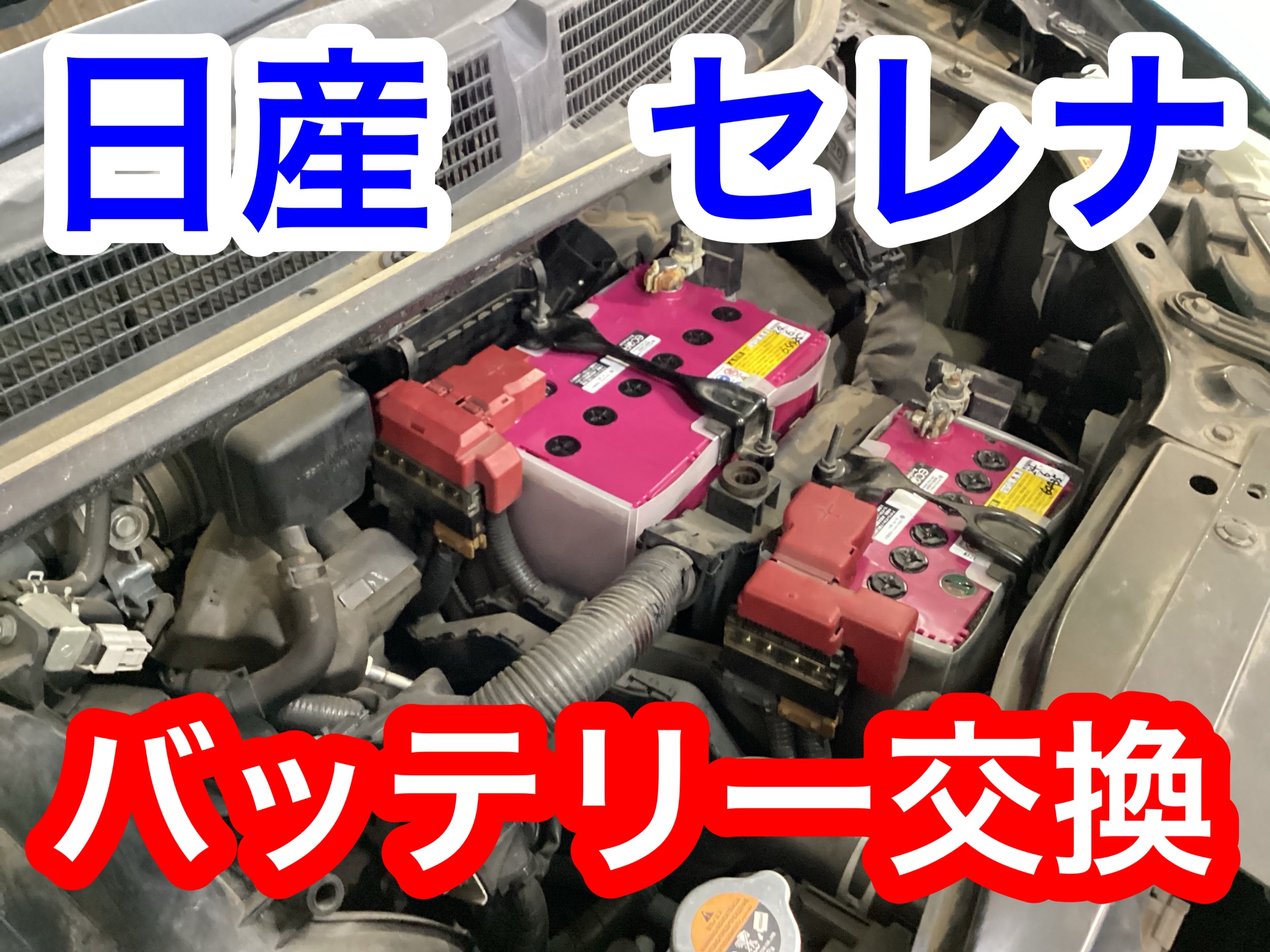 スタッフ撮影画像