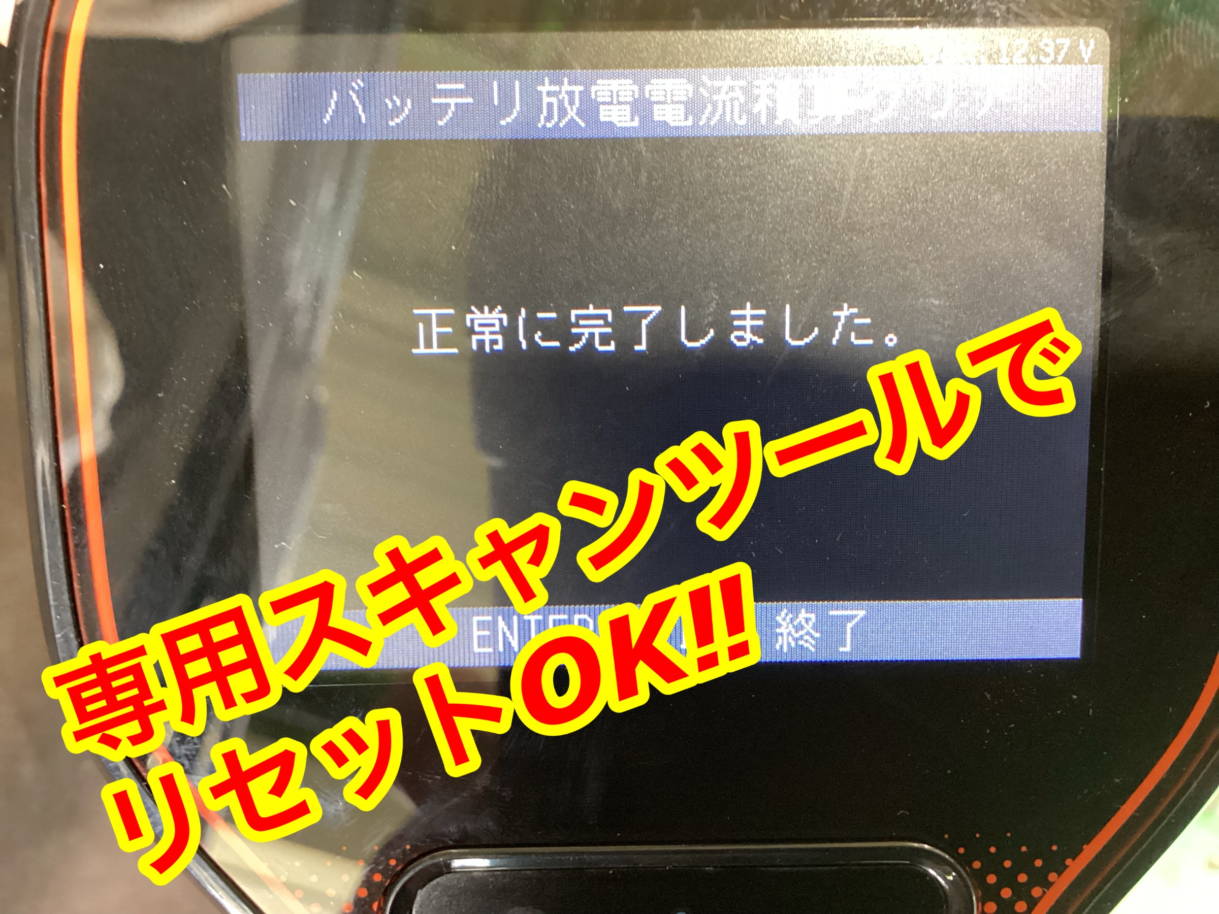 スタッフ撮影画像