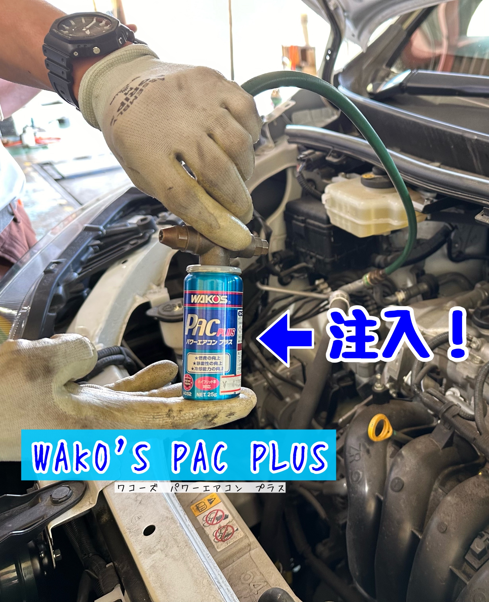スタッフが撮影加工