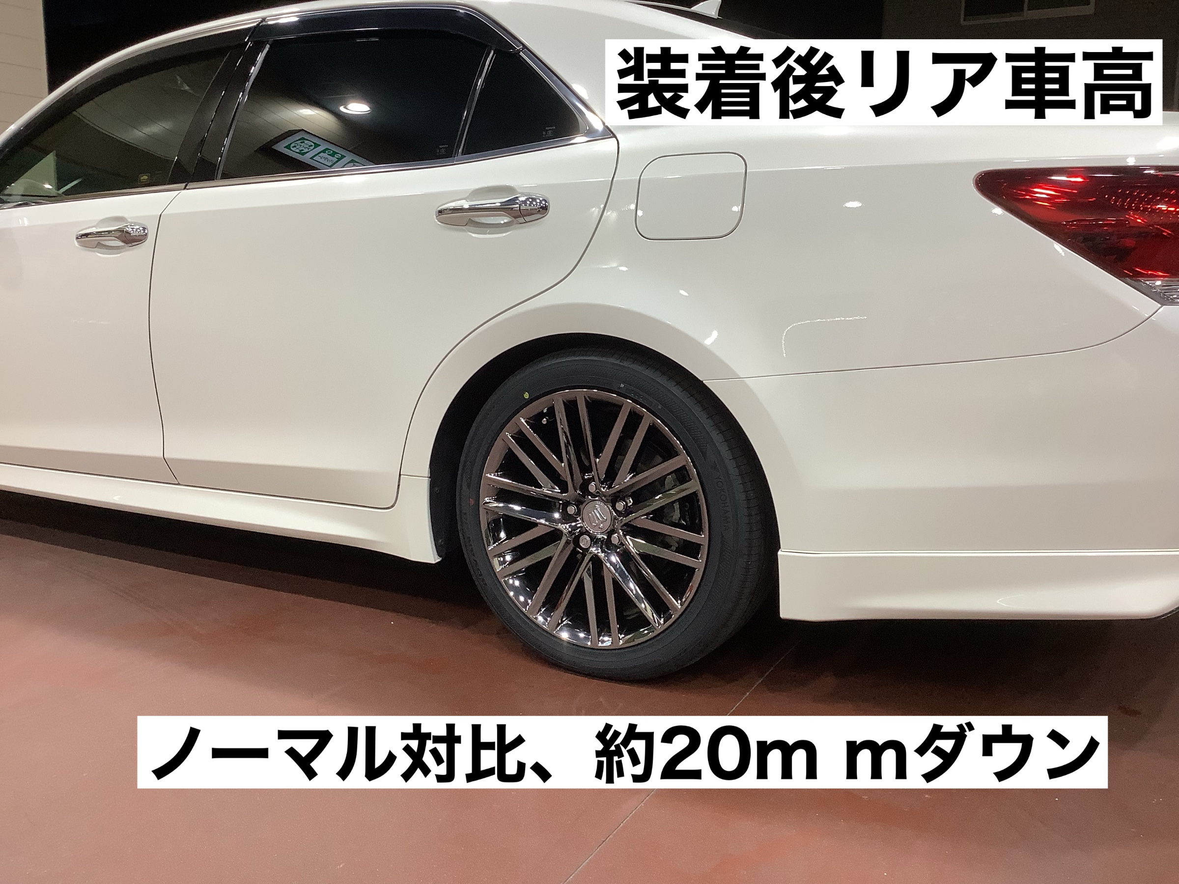 スタッフが撮影