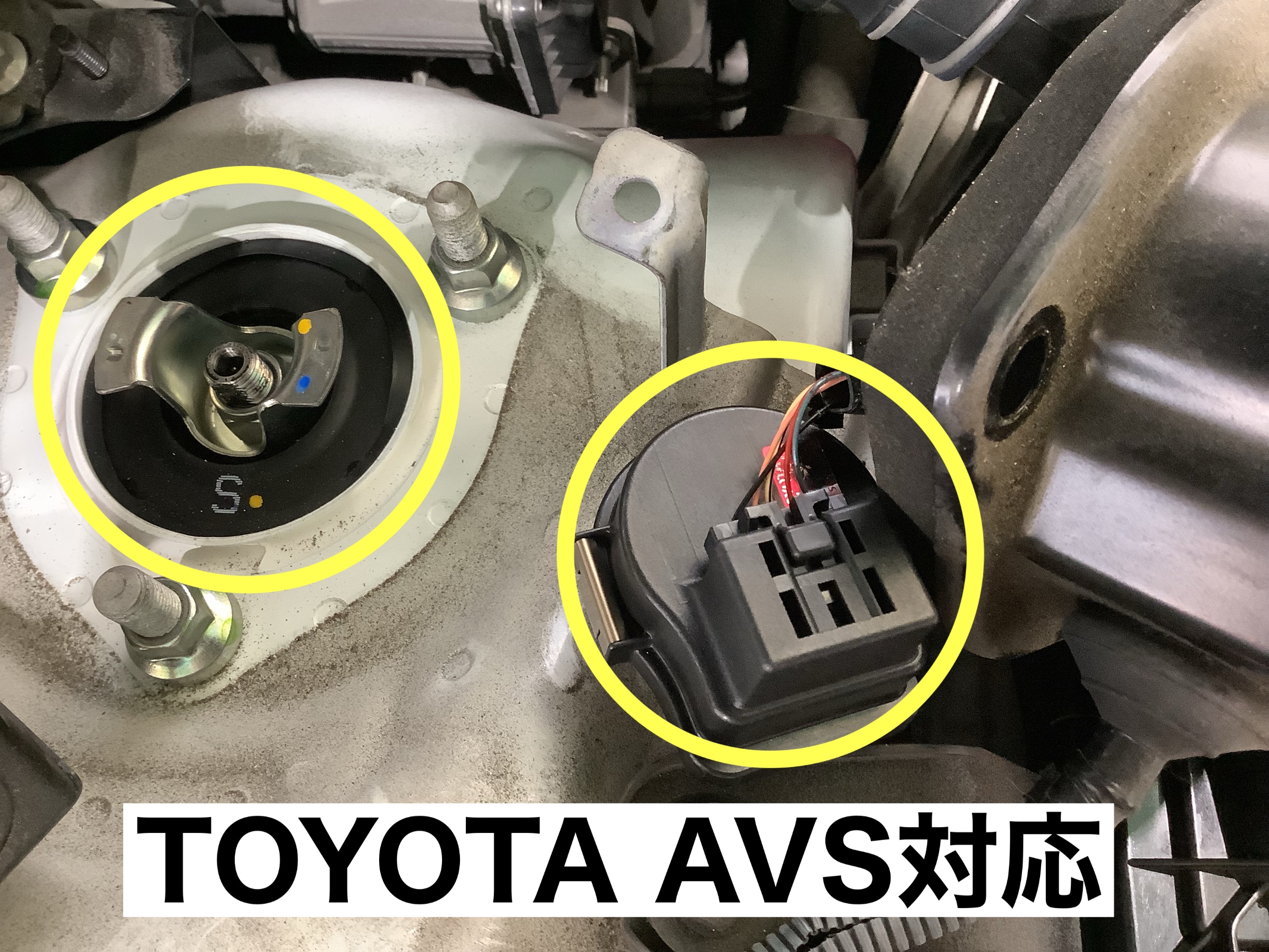 スタッフが撮影