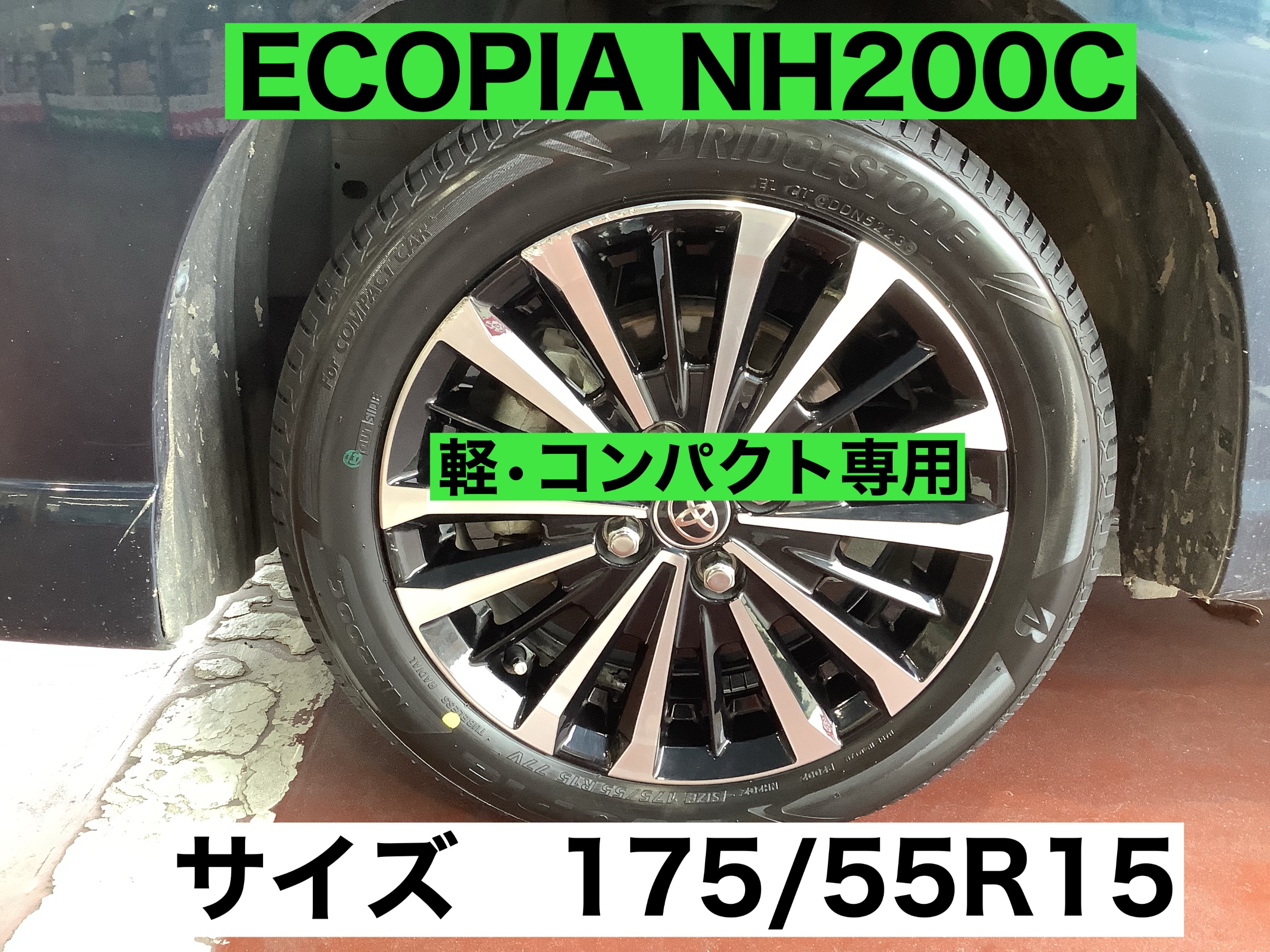 スタッフが撮影