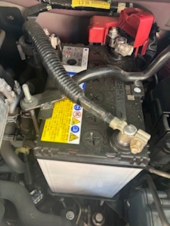 スタッフ撮影です。