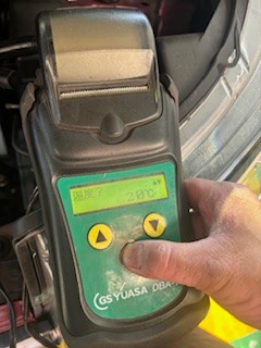 スタッフ撮影です。