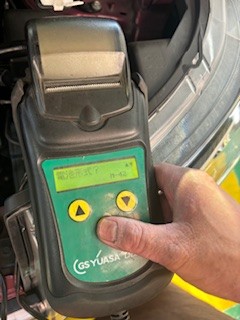 スタッフ撮影です。