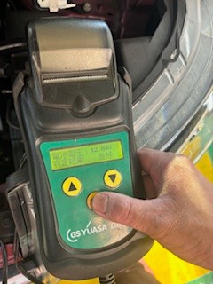 スタッフ撮影です。