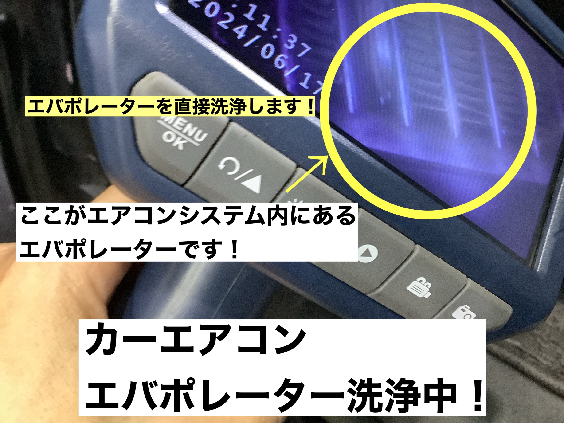 スタッフが撮影