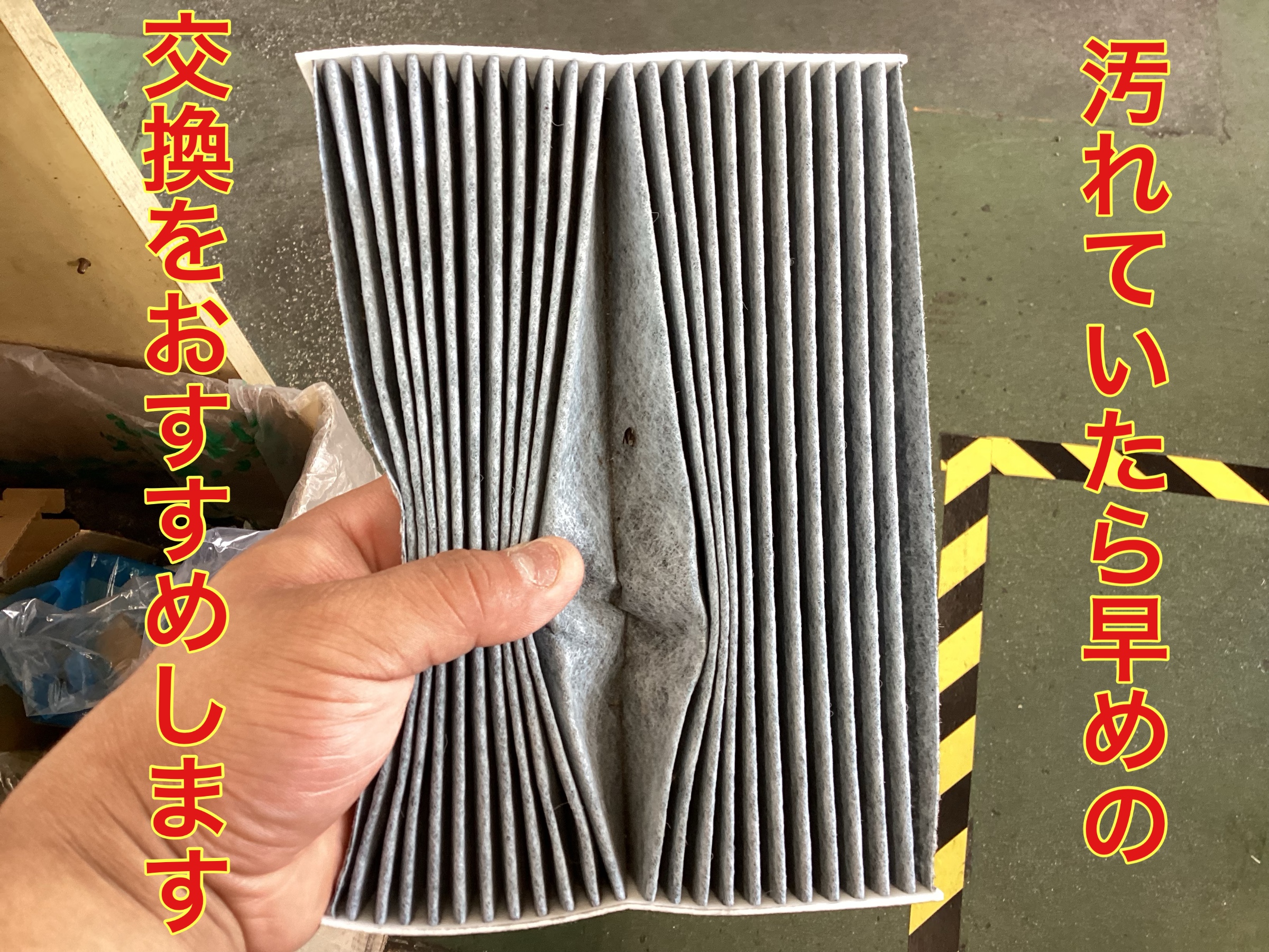 スタッフ撮影。無料画像編集アプリにて編集。