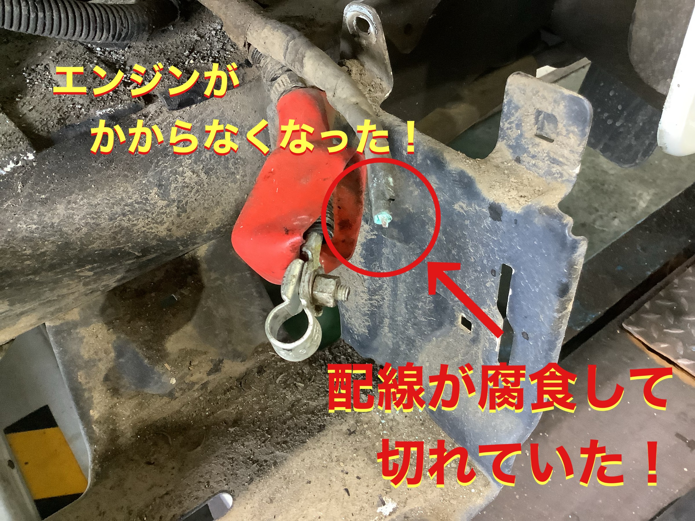 自店撮影です