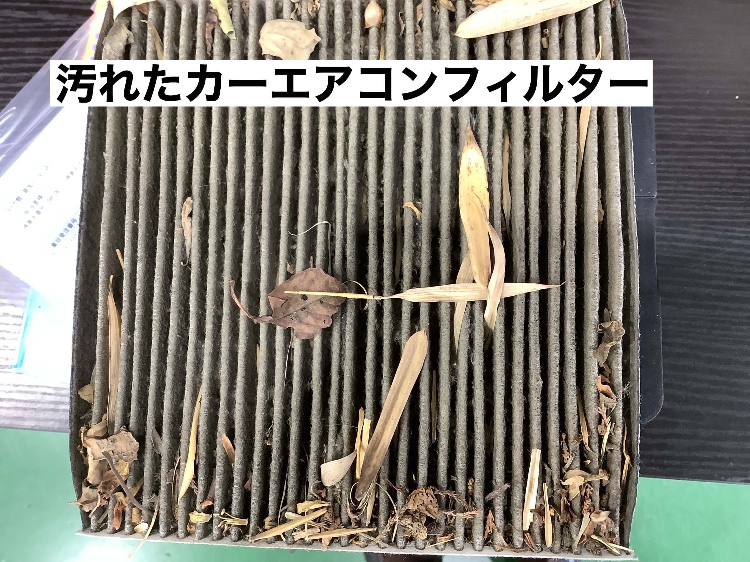 スタッフが撮影