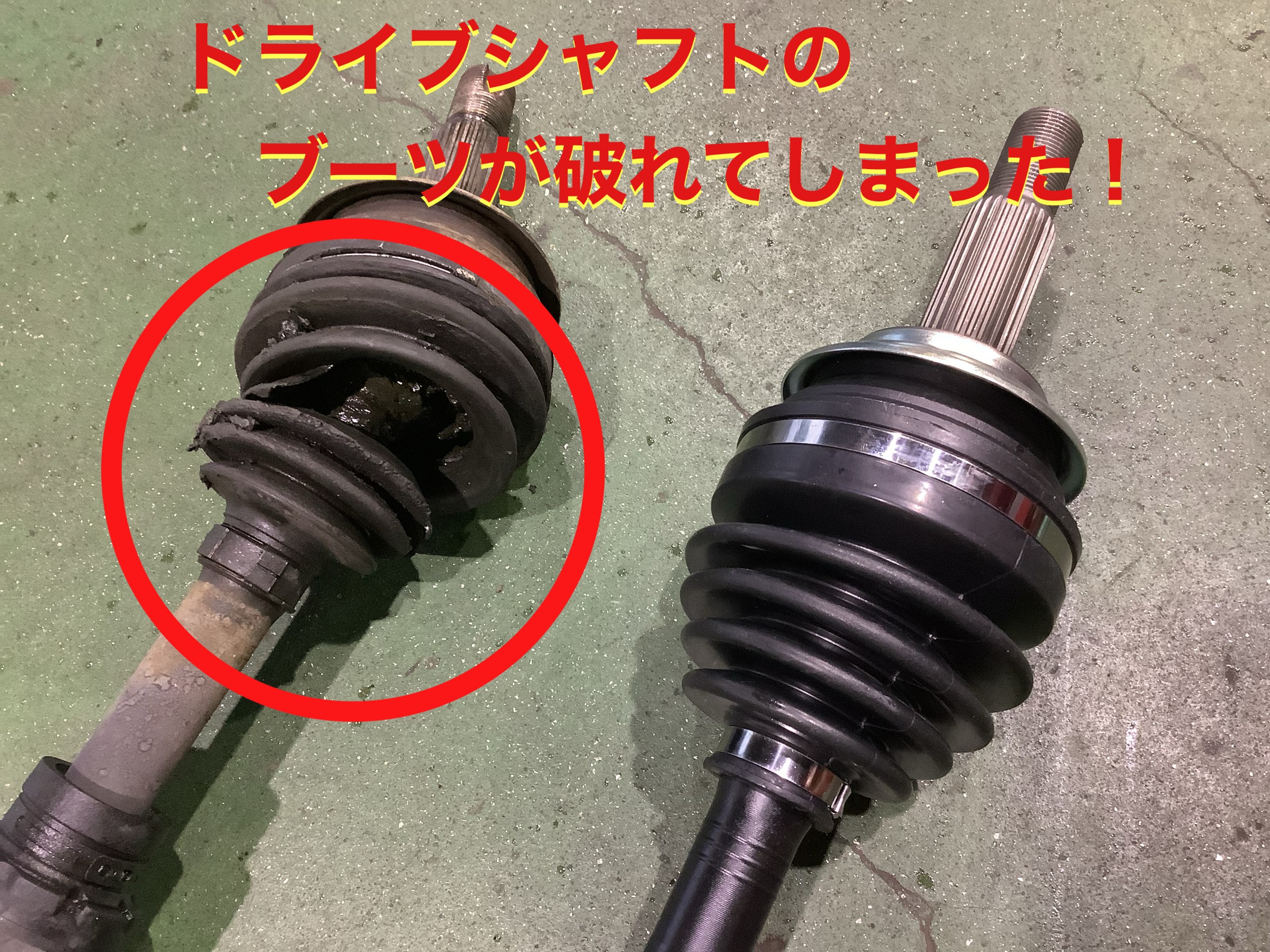 自店撮影です