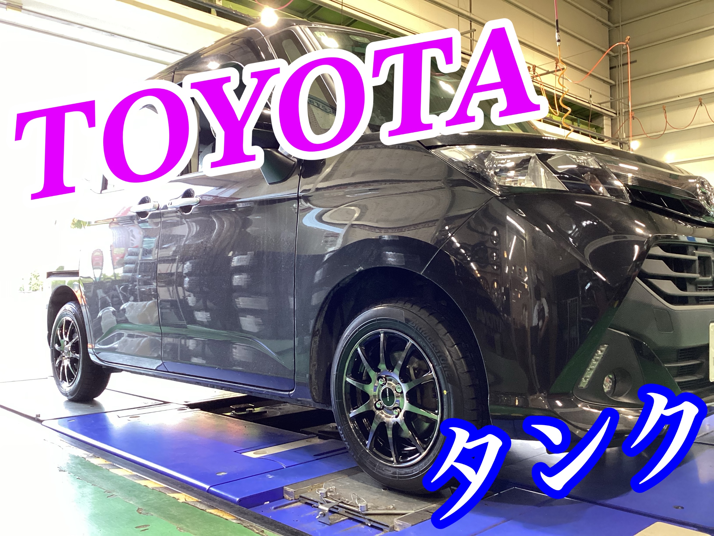 スタッフ撮影画像