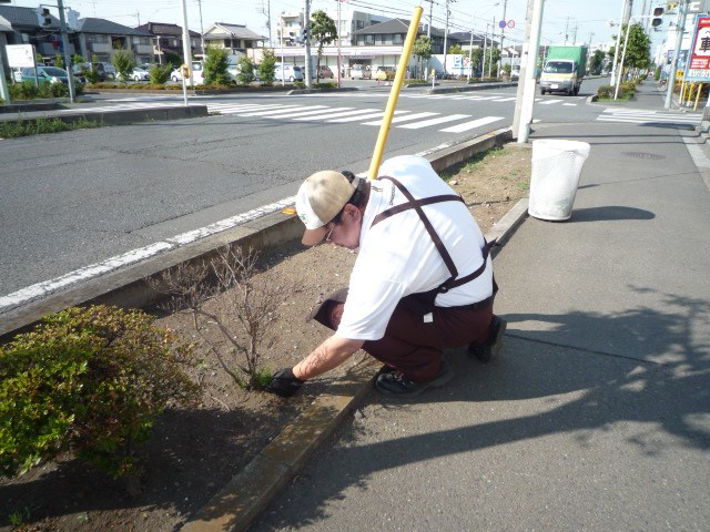 今日はいい天気だったので スタッフ日記 タイヤ館 川口 タイヤからはじまる トータルカーメンテナンス タイヤ館グループ