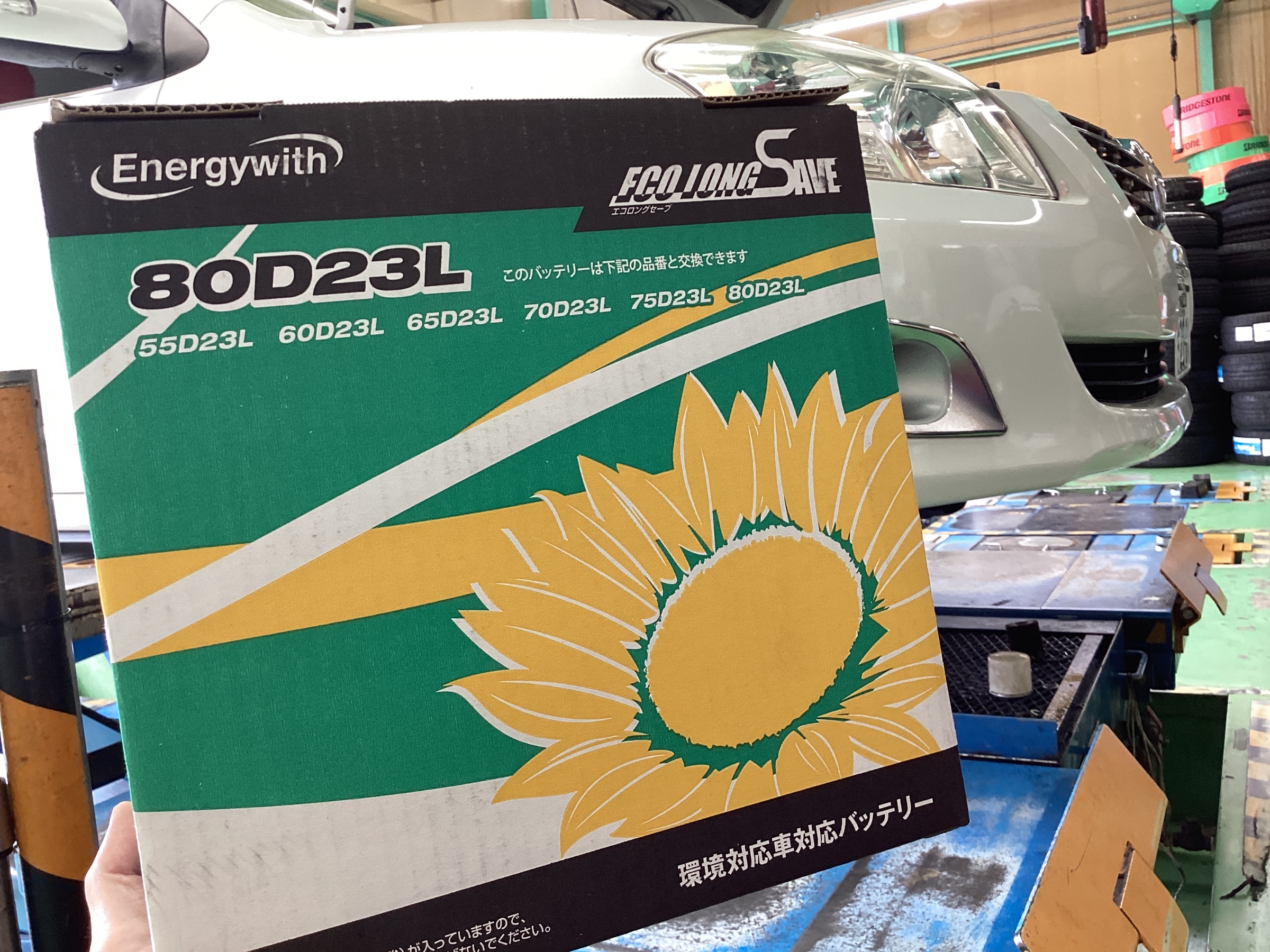 スタッフ撮影分