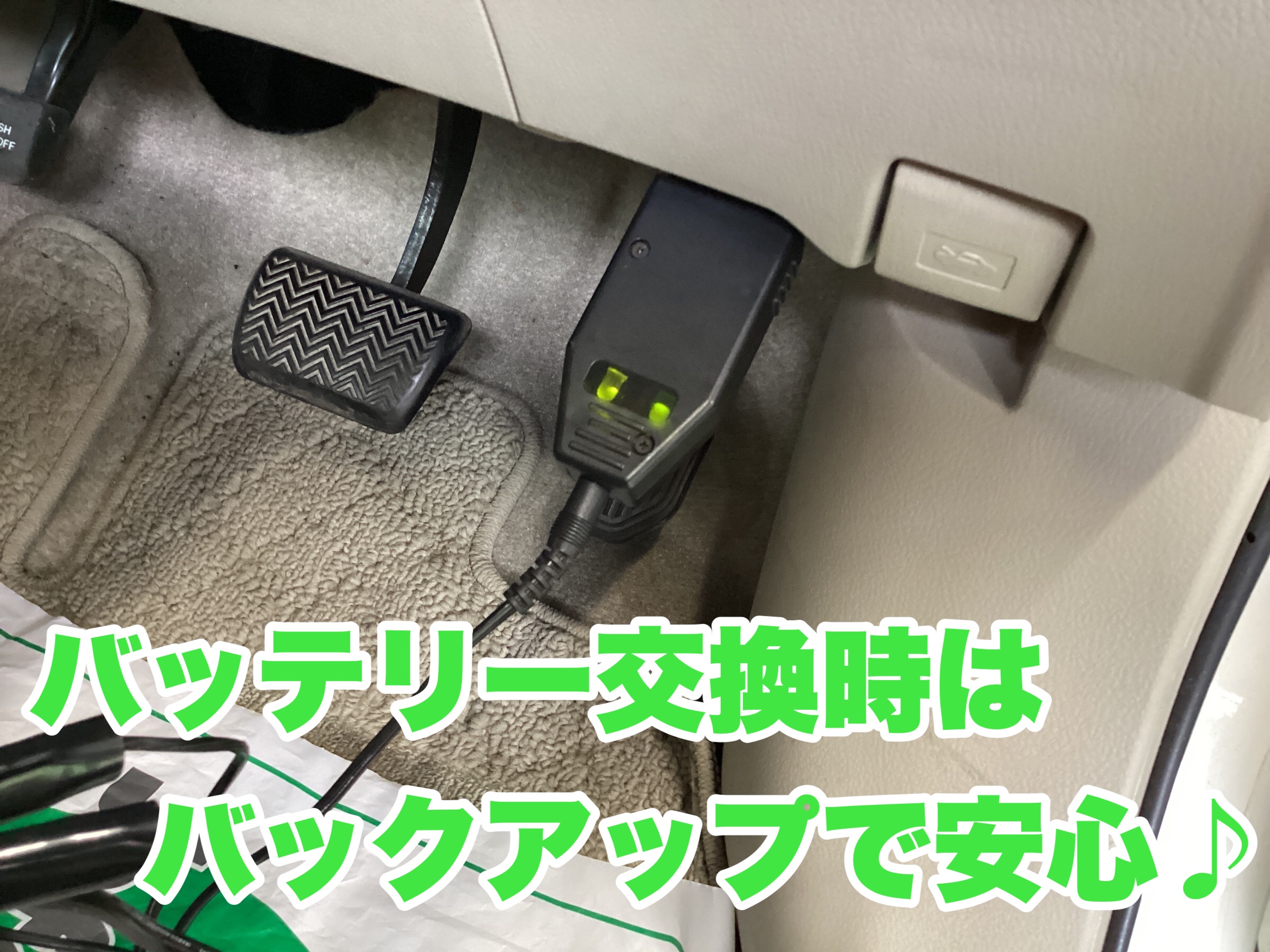 スタッフ撮影分