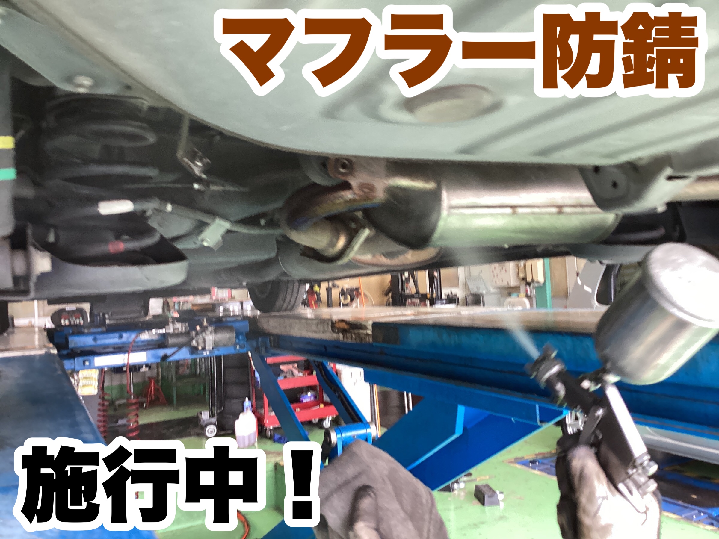 スタッフ撮影分