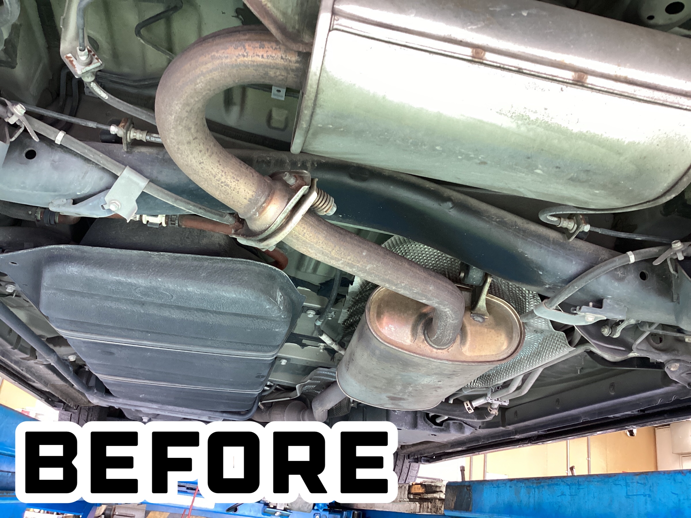 スタッフ撮影分