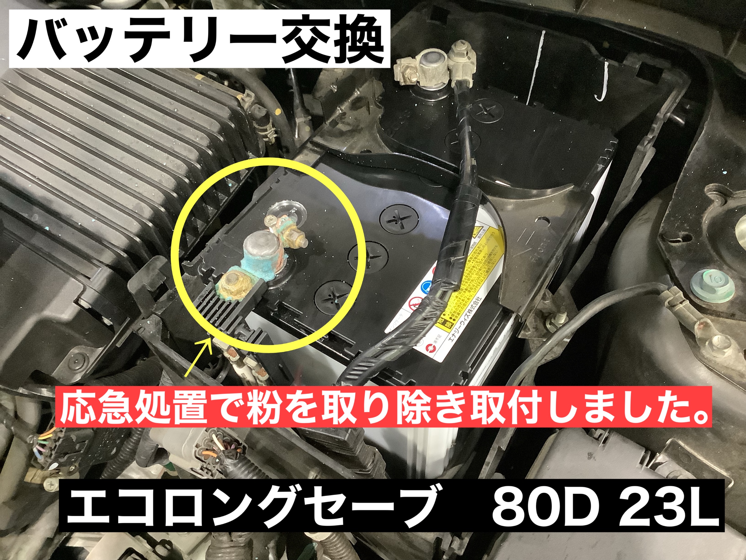 スタッフが撮影